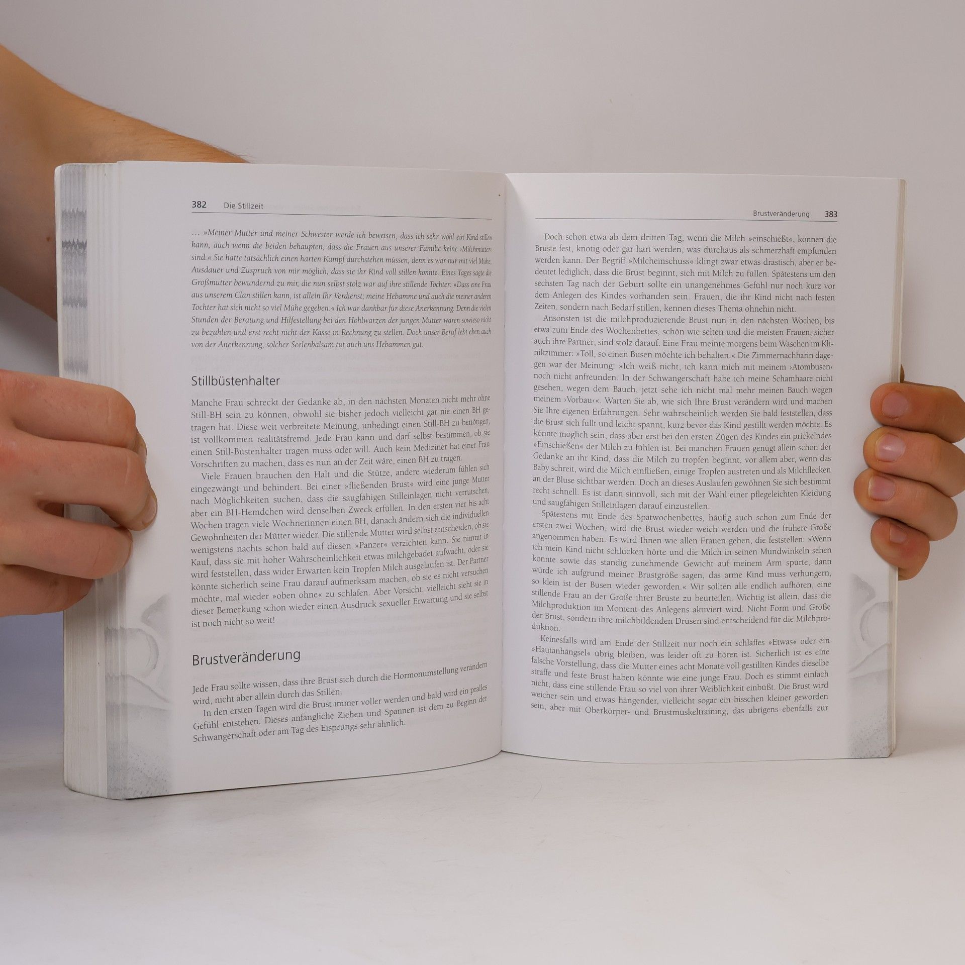 Ingeborg Stadelmann Die Hebammen - Sprechstunde
