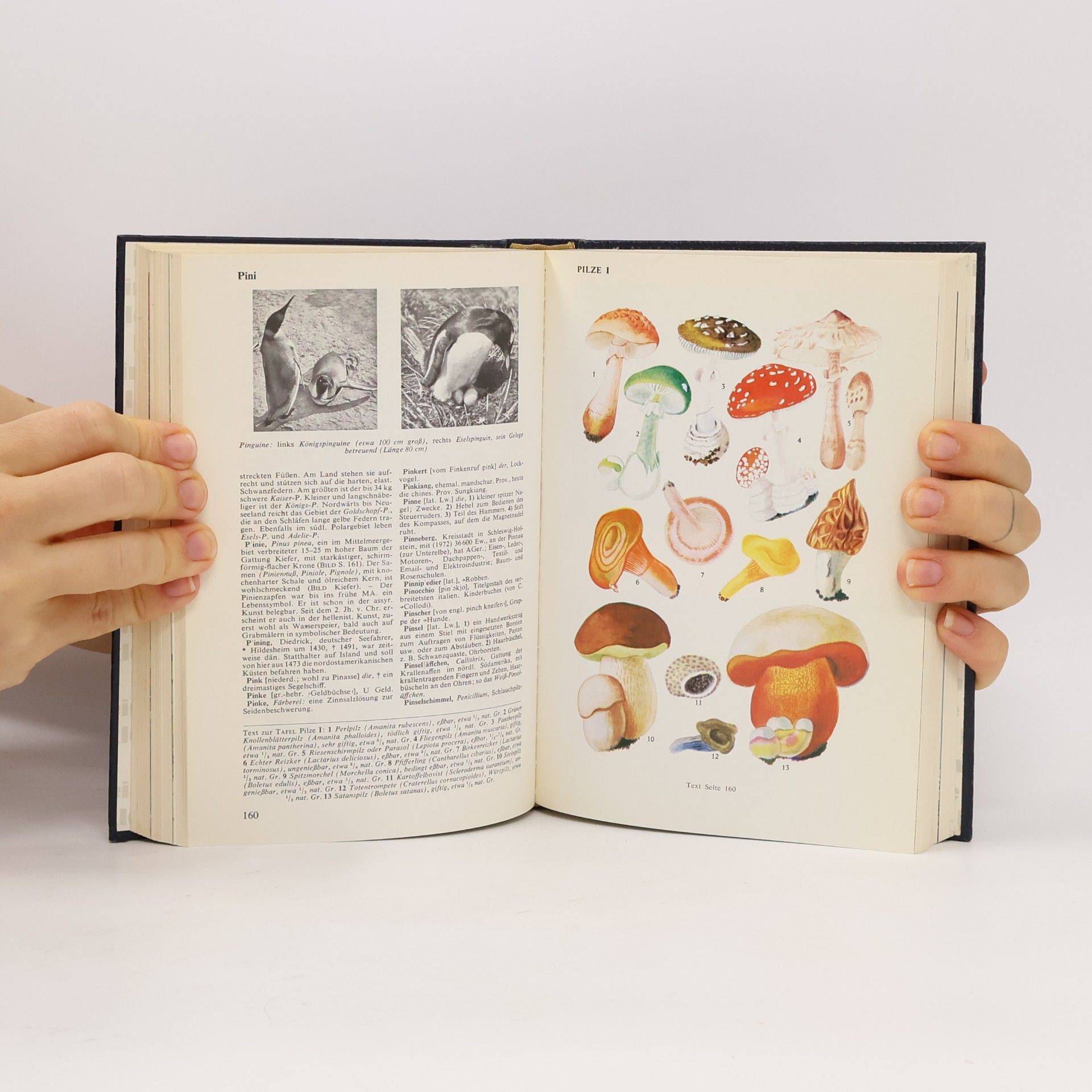 Autores varios Merckle Lexikon 14
