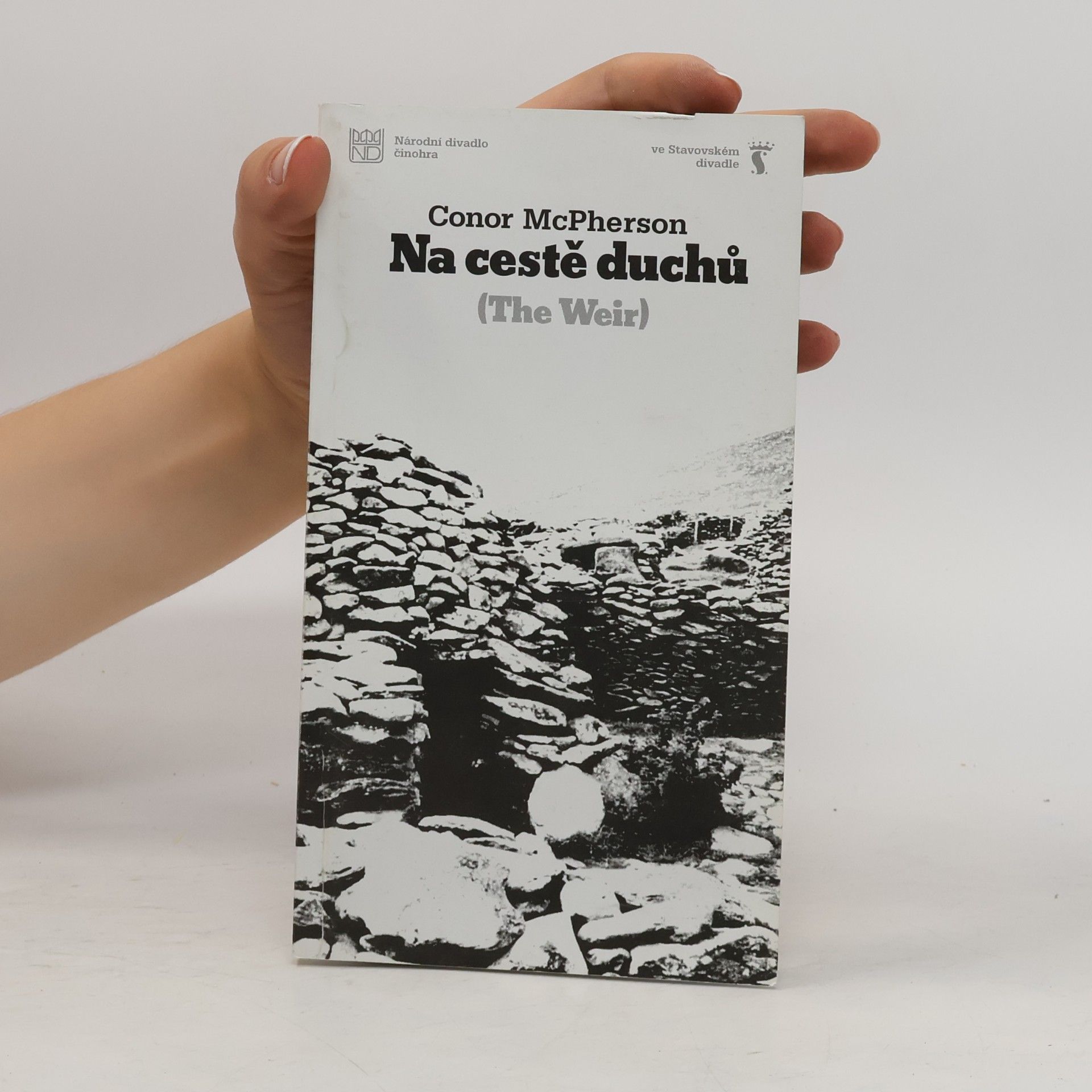 Conor McPherson Na cestě duchů