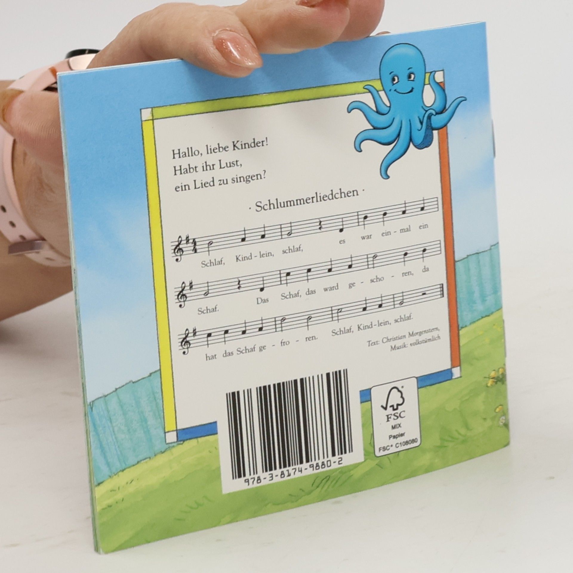 Various authors Das Schaf, das nicht über den Zaun springen wollte