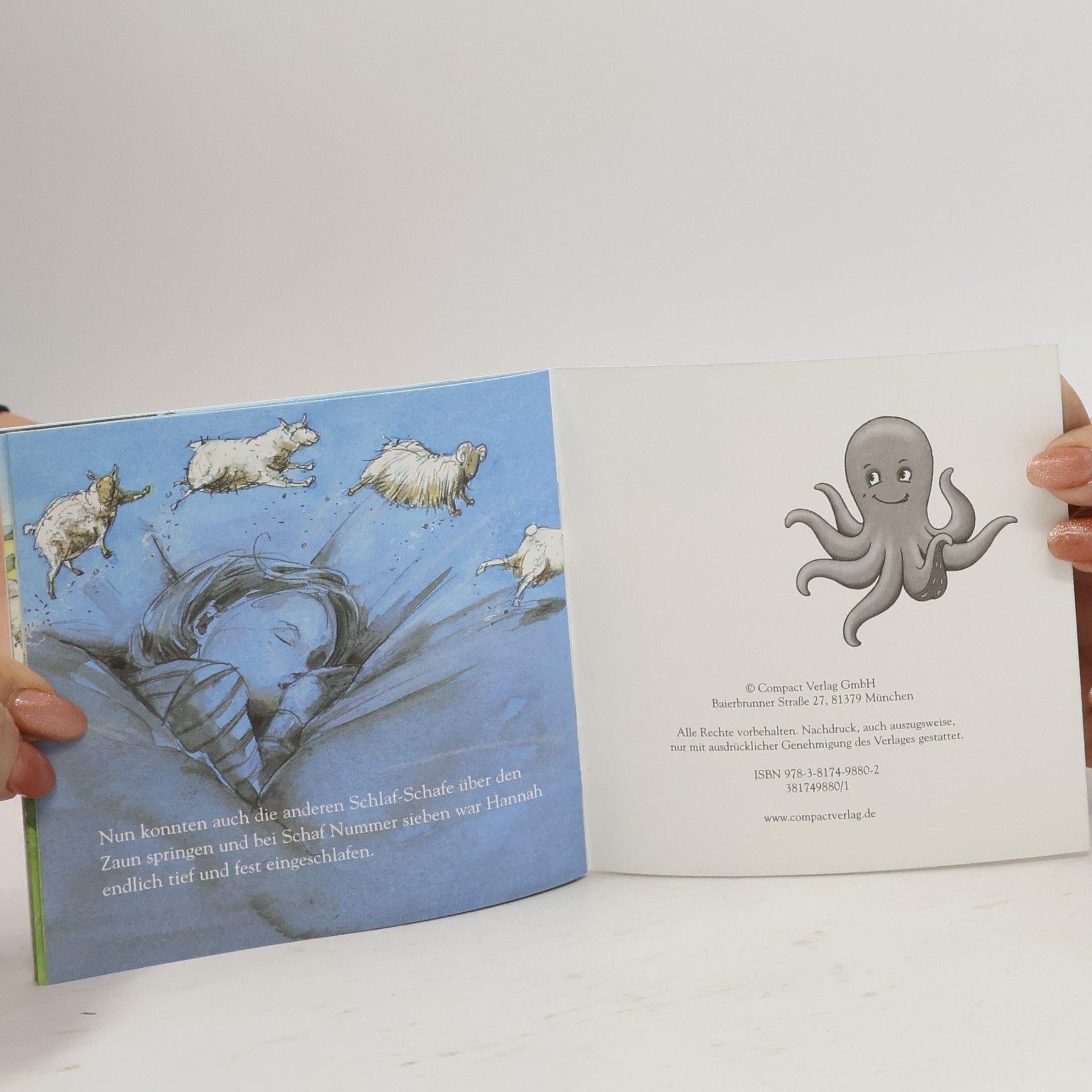 Various authors Das Schaf, das nicht über den Zaun springen wollte