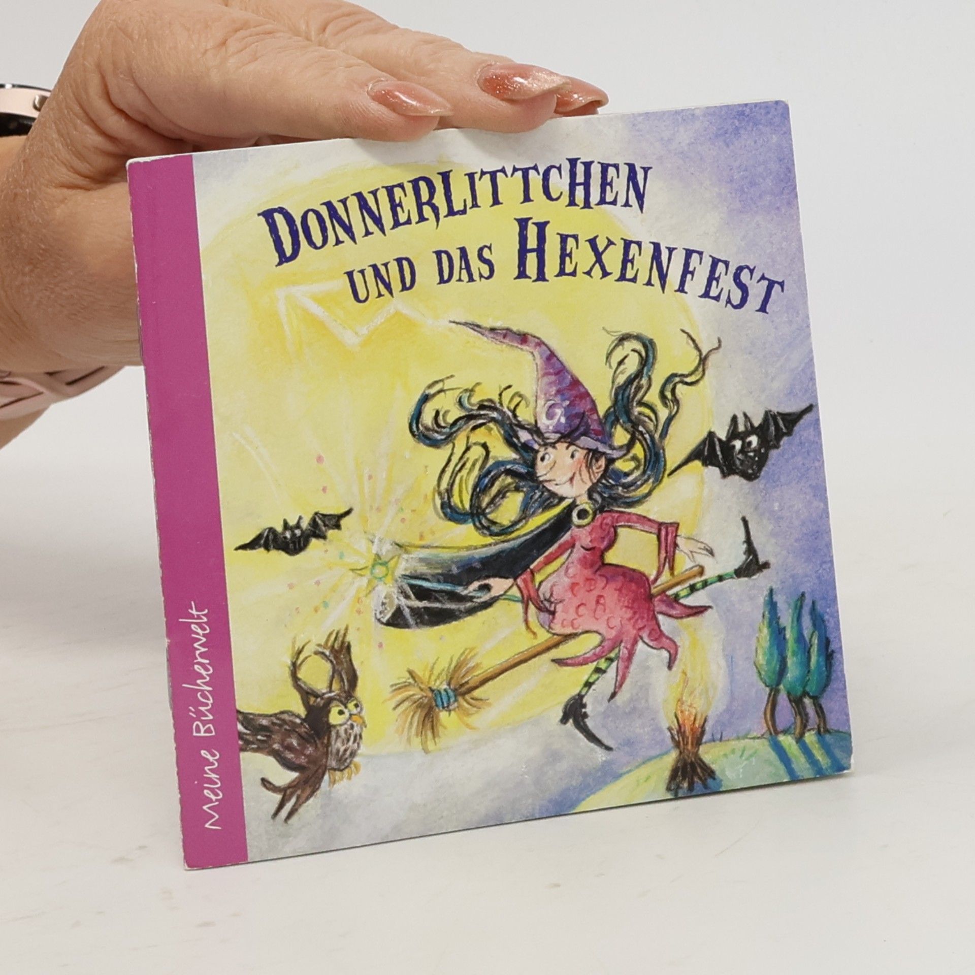 Various authors Donnerlittchen und das Hexenfest