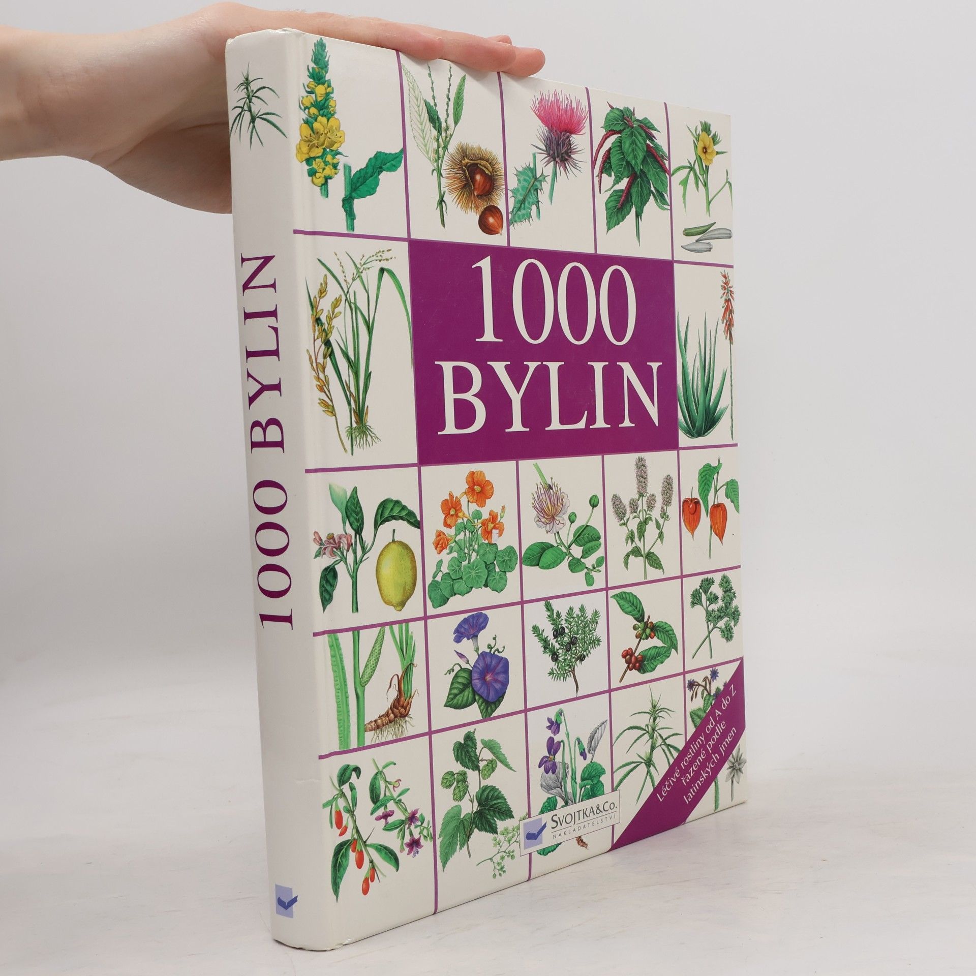 Autorenkollektiv 1000 bylin