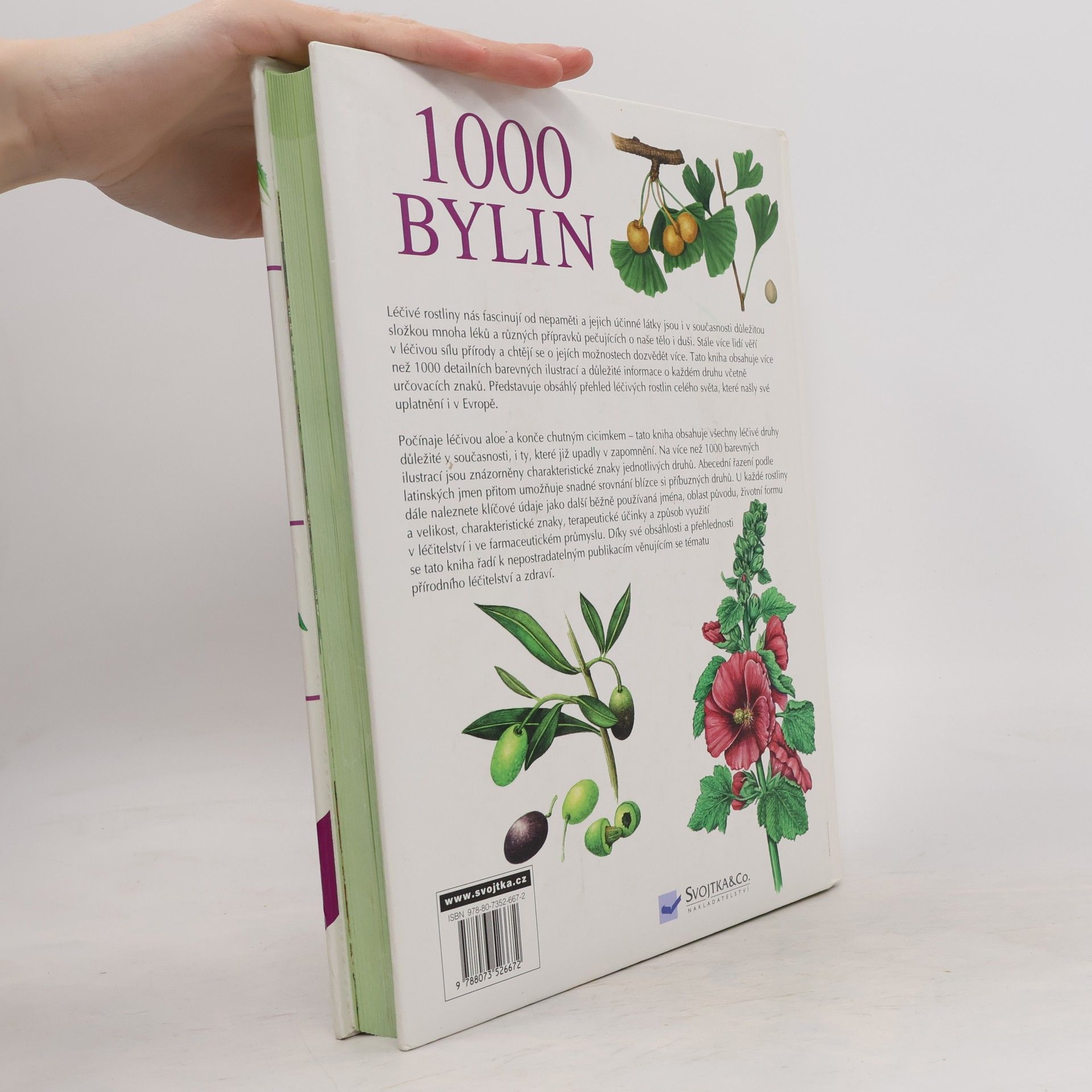 Autorenkollektiv 1000 bylin