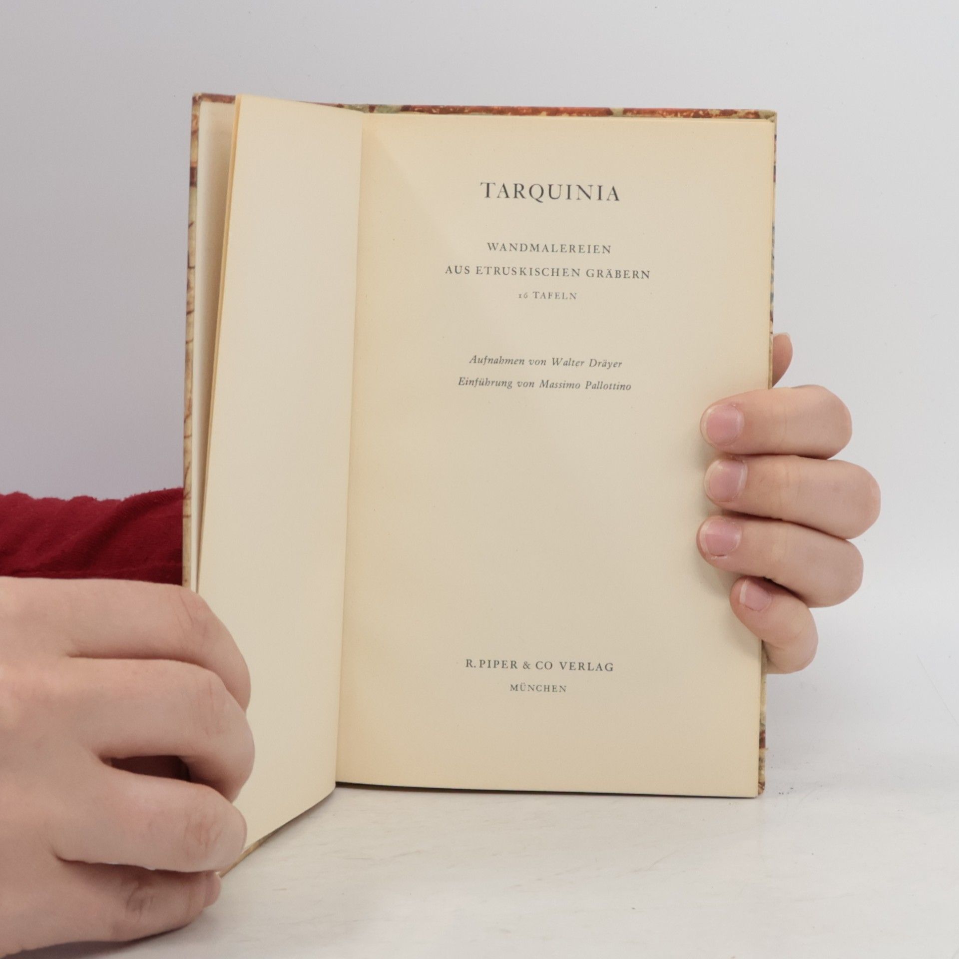 AA.VV. Tarquinia