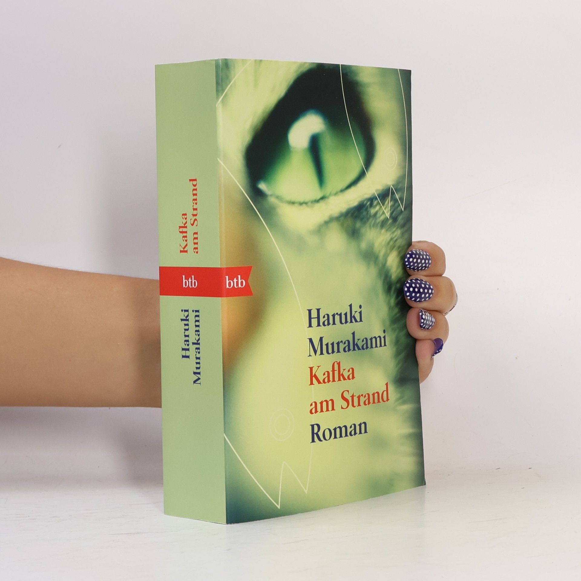 Haruki Murakami Kafka am Strand
