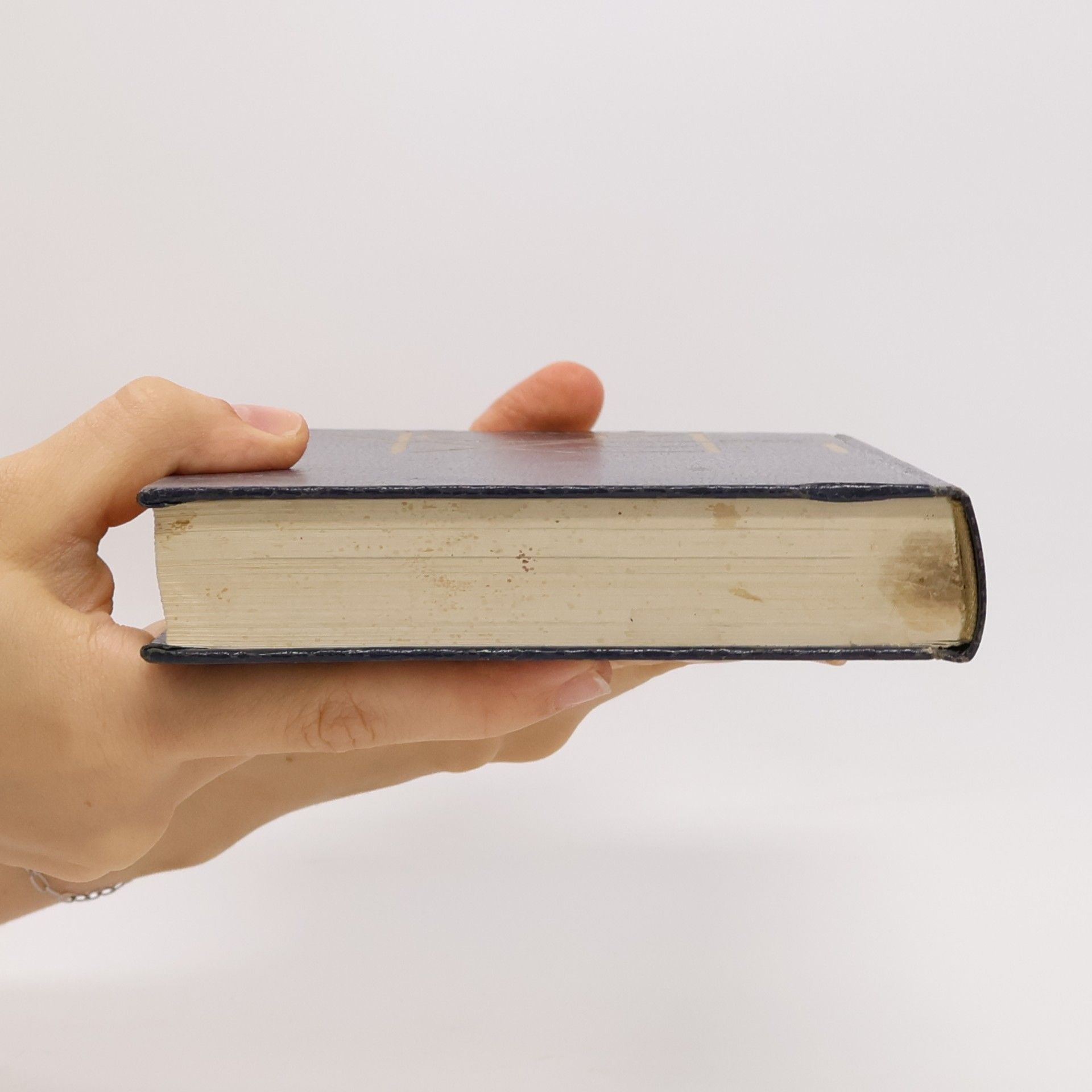 Autorenkollektiv Merckle Lexikon 13