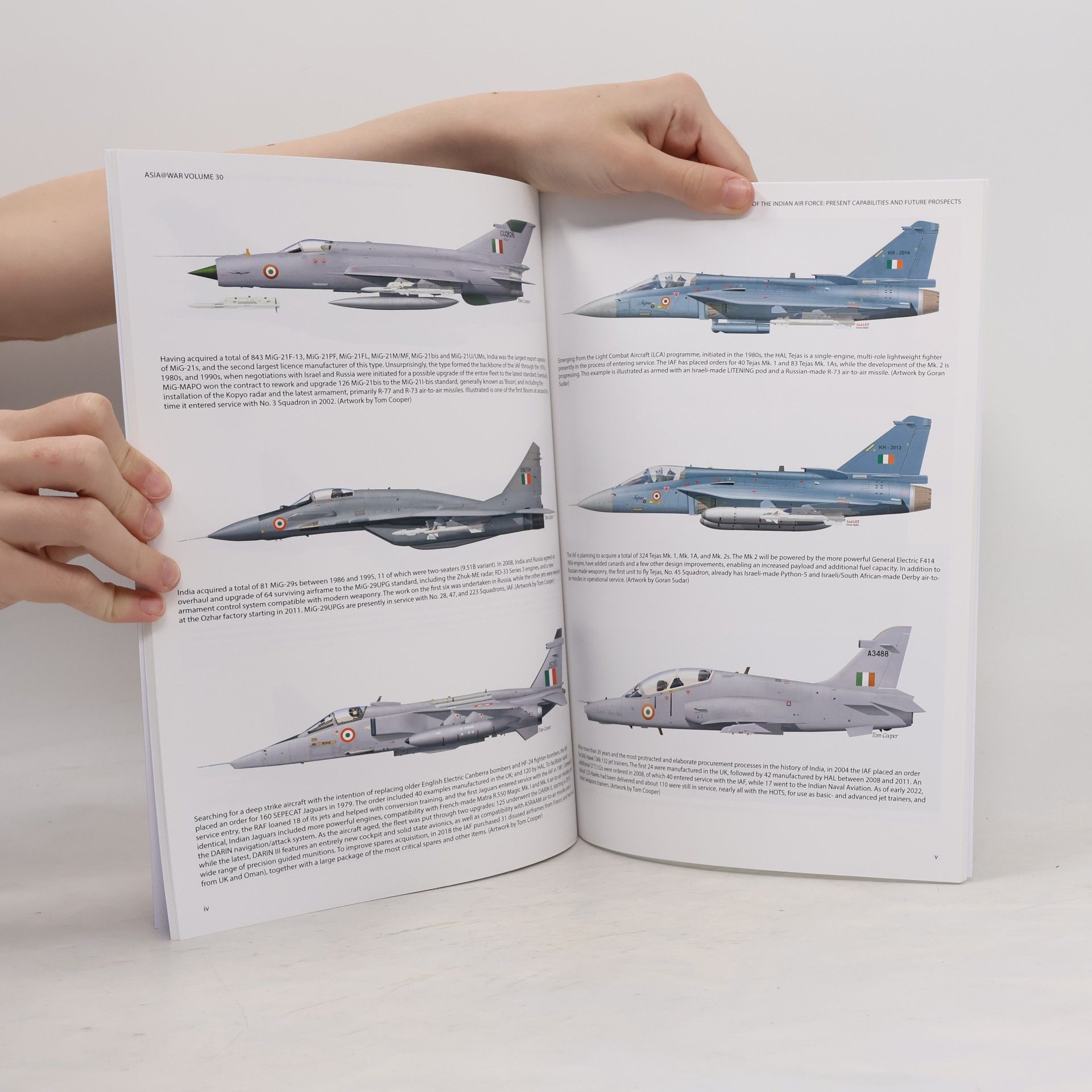 Sanjay Badri-Maharaj Asia @ War - 30: 90 Years of the Indian Air Force