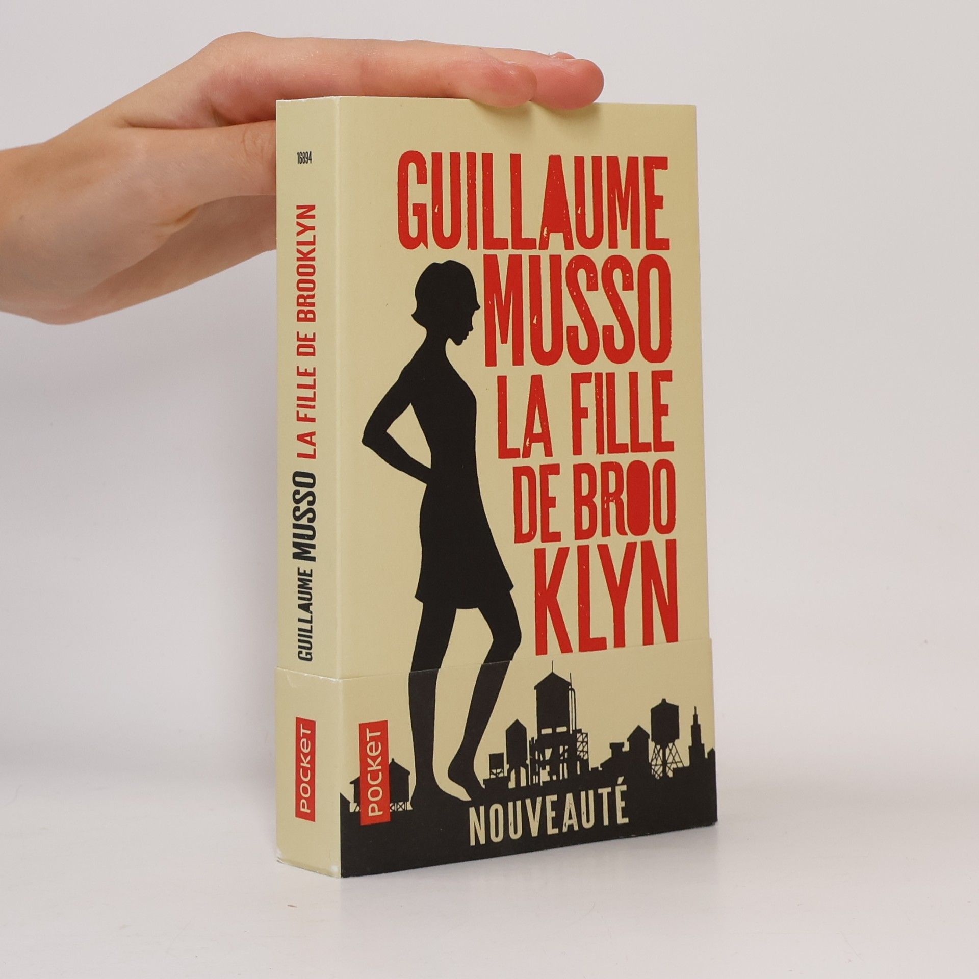 Guillaume Musso La Fille de Brooklyn