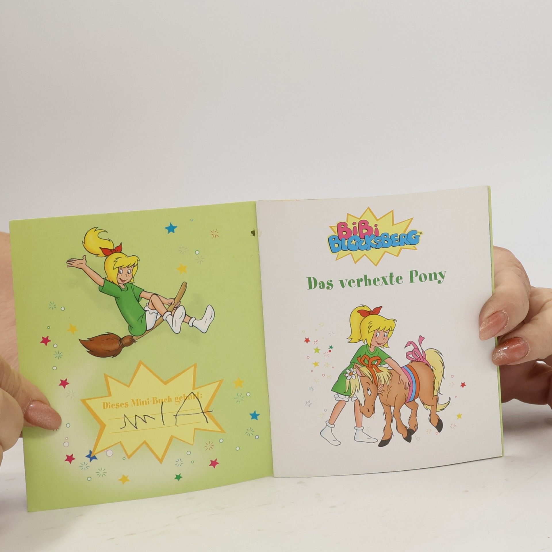 Autorenkollektiv Bibi Blocksberg: Das verhexte Pony