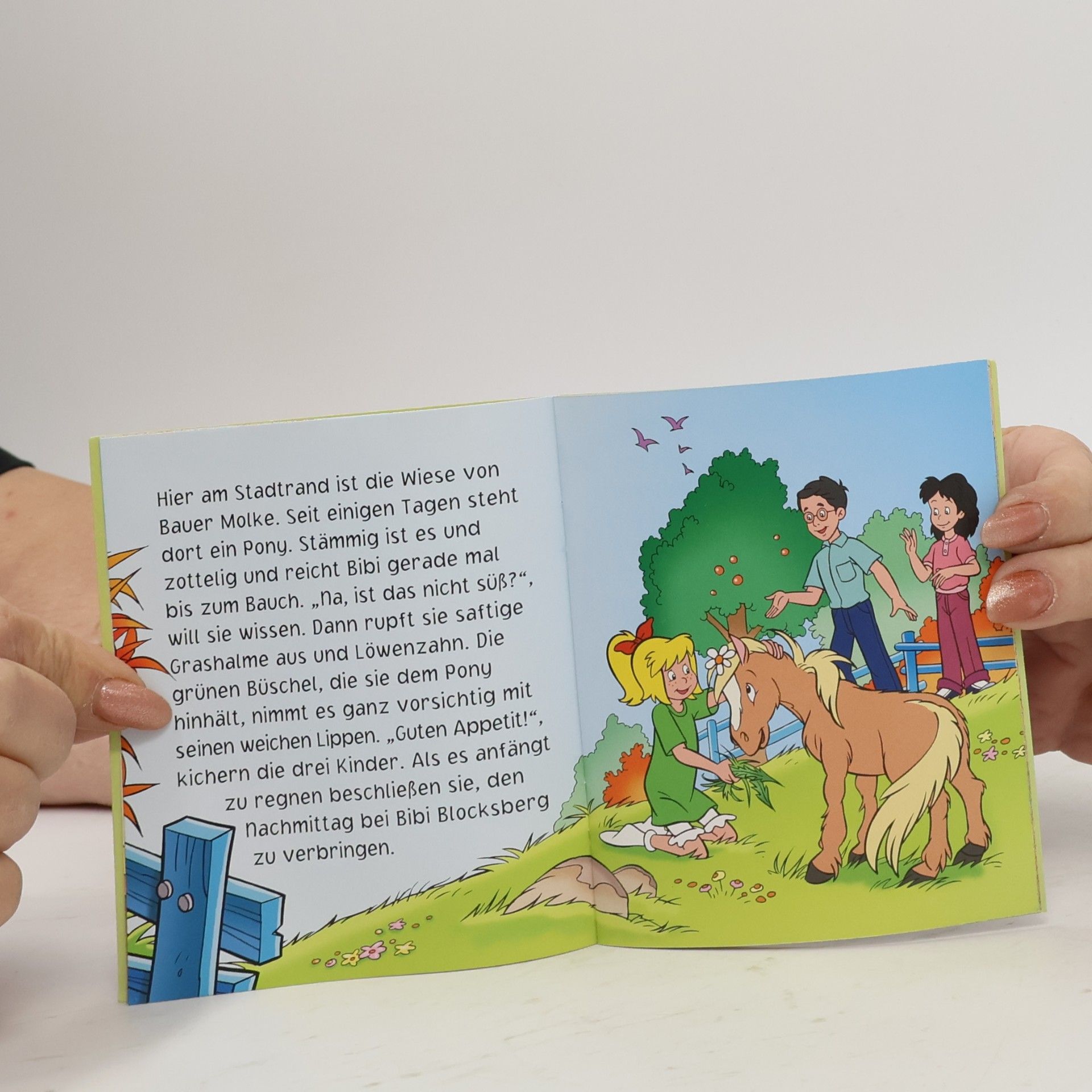 Autorenkollektiv Bibi Blocksberg: Das verhexte Pony