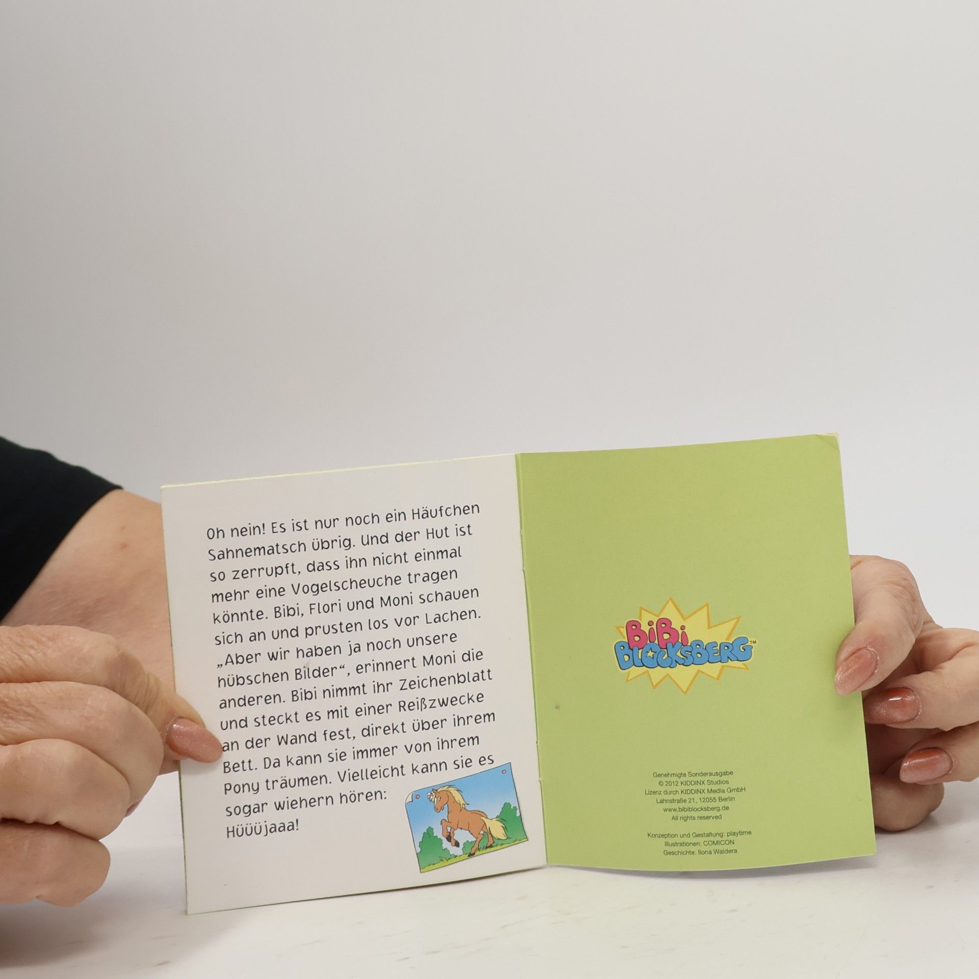 Autorenkollektiv Bibi Blocksberg: Das verhexte Pony