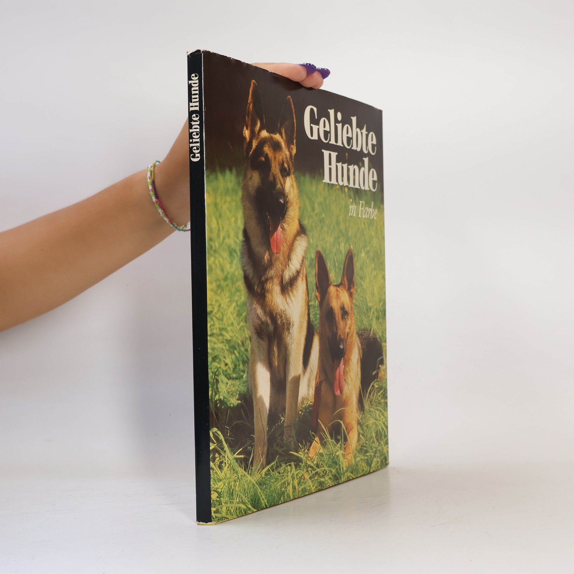Autorenkollektiv Geliebte Hunde in Farbe