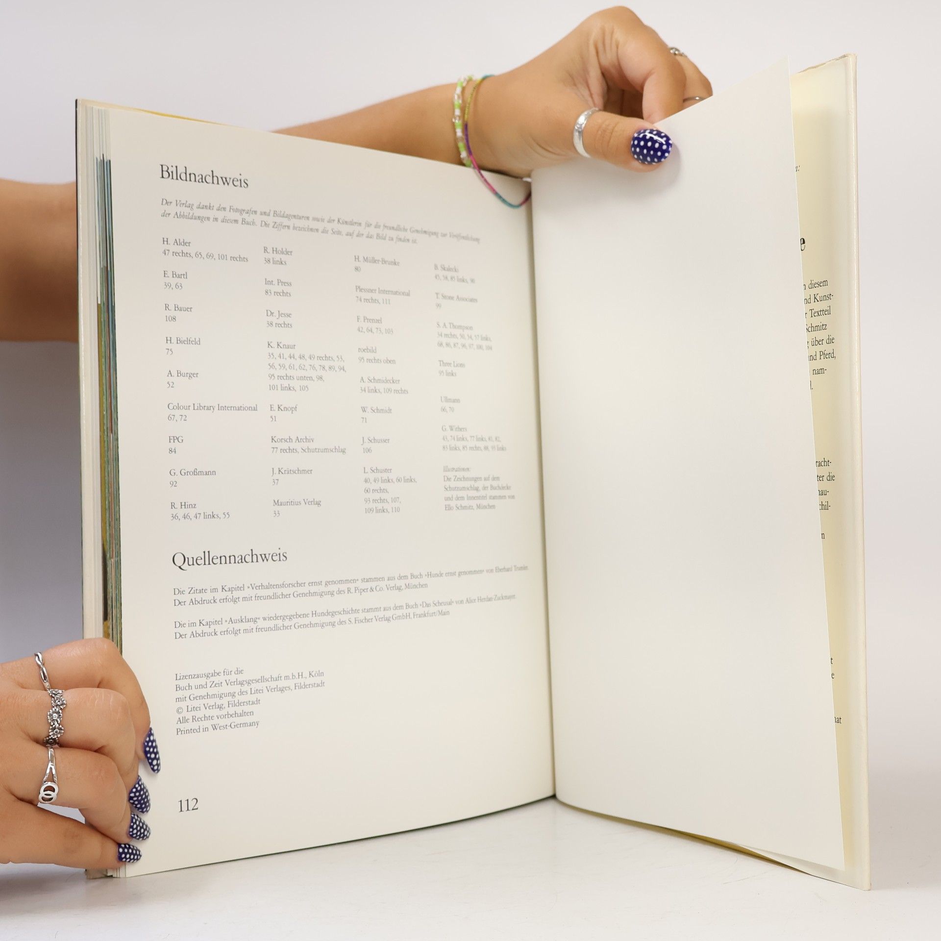 Autorenkollektiv Geliebte Hunde in Farbe