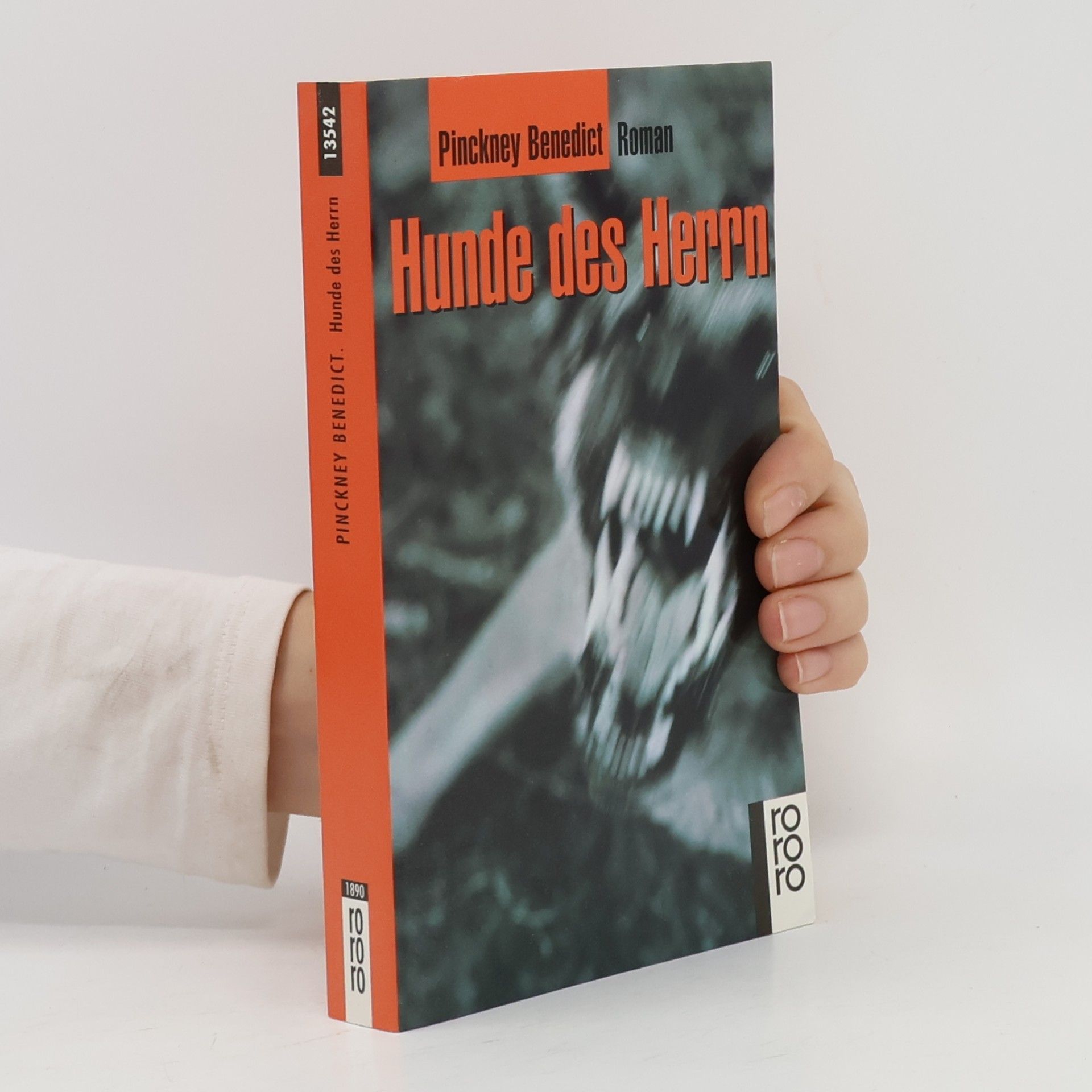 Pinckney Benedict Hunde des Herrn. Roman