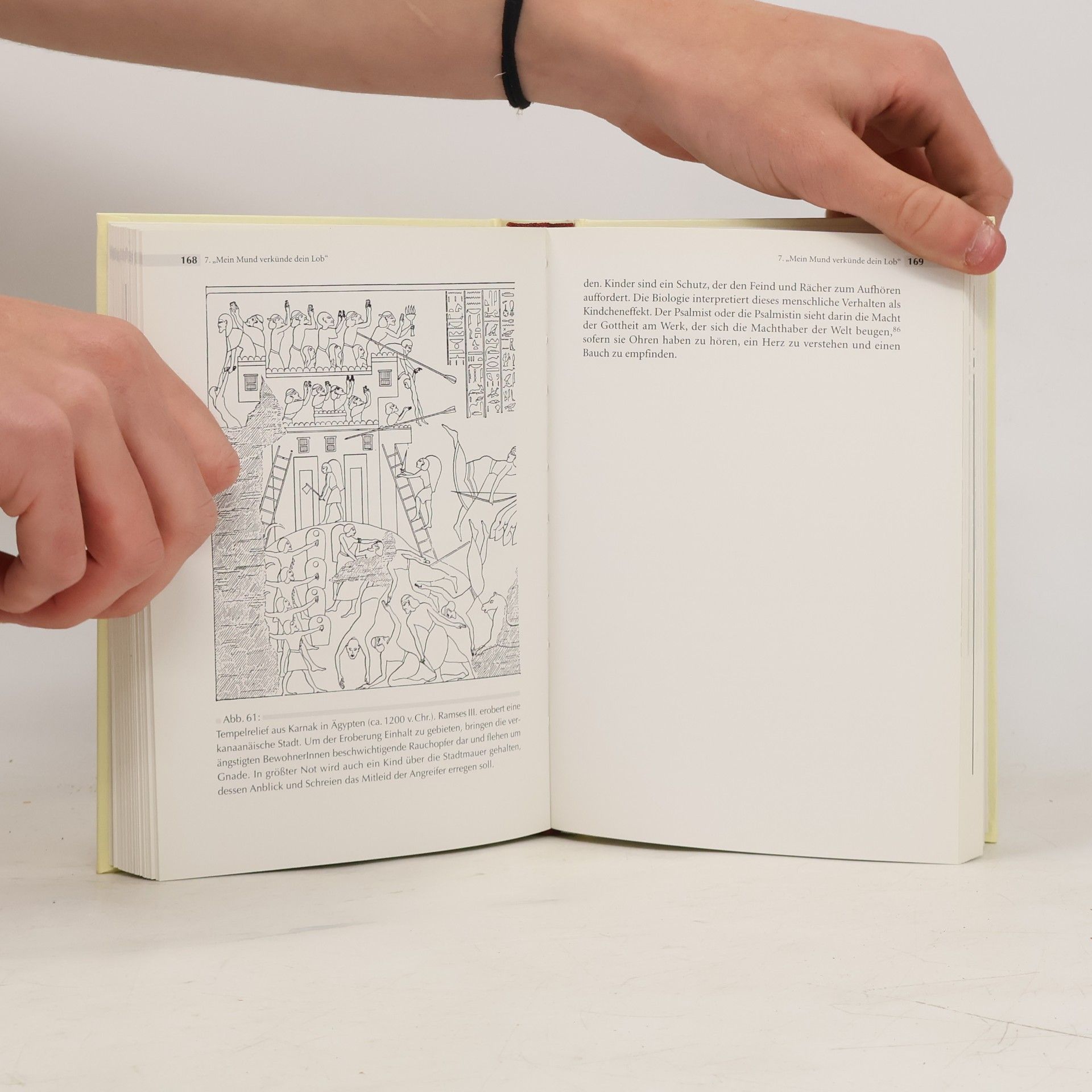 Silvia Schroer Die Körpersymbolik der Bibel