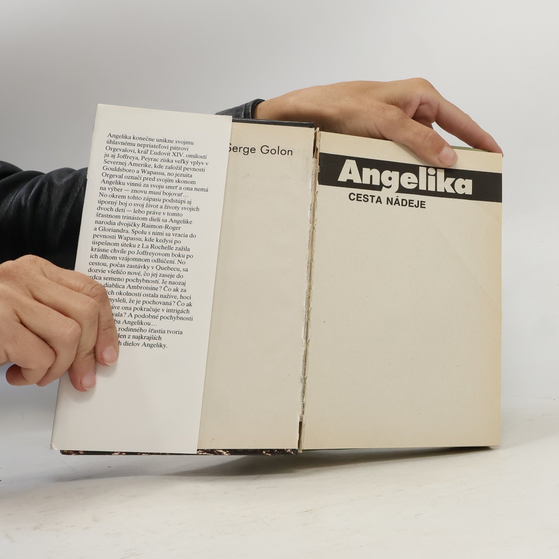 Anne Golon Angelika - Cesta nádeje
