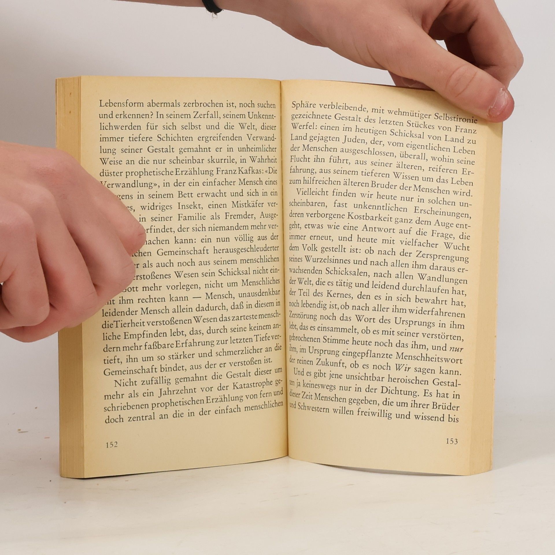 Margarete Susman Das Buch Hiob und das Schicksal des jüdischen Volkes