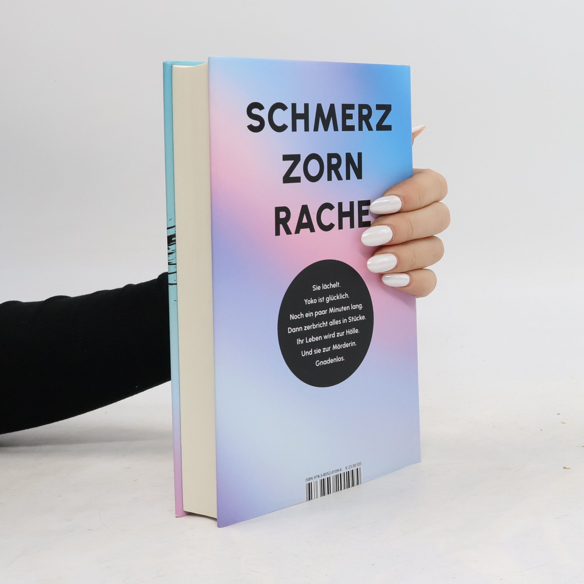 Bernhard Aichner Yoko