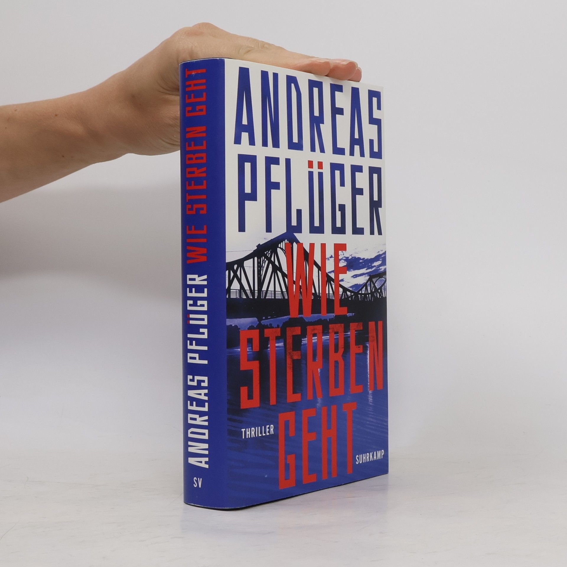 Andreas Pflüger Wie Sterben geht