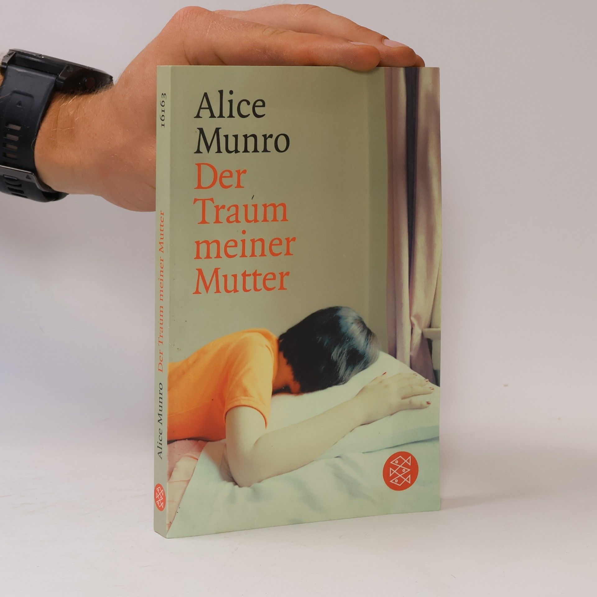 Alice Munro Der Traum meiner Mutter
