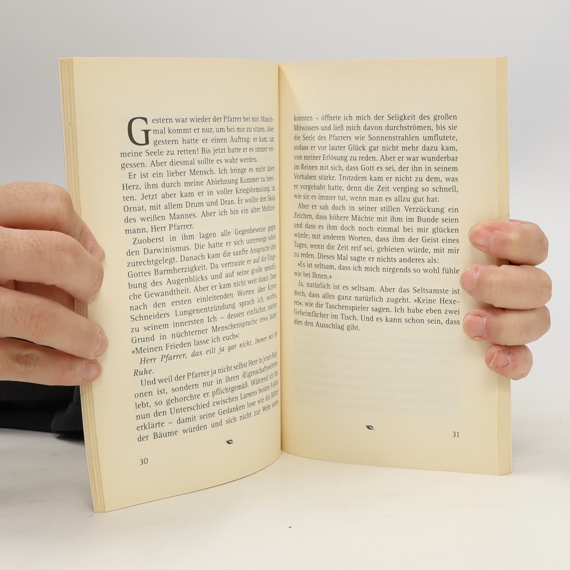 Johannes Anker Larsen Der Kandidat. Zwei Novellen