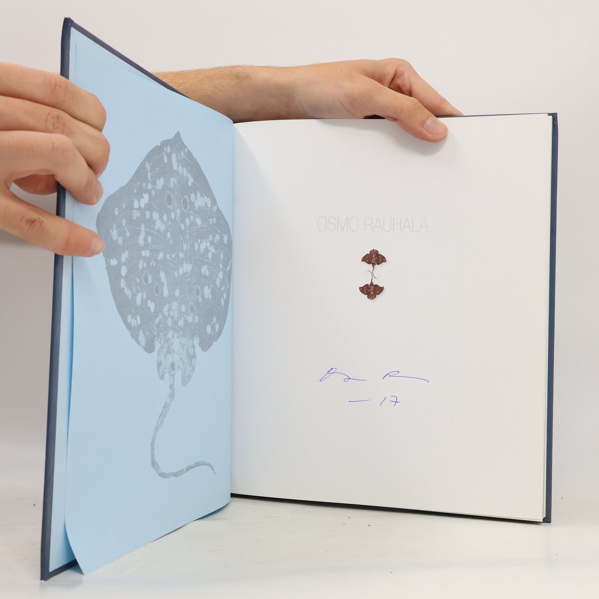 Osmo Rauhala Peilitesti | Spegeltest | Mirror Test