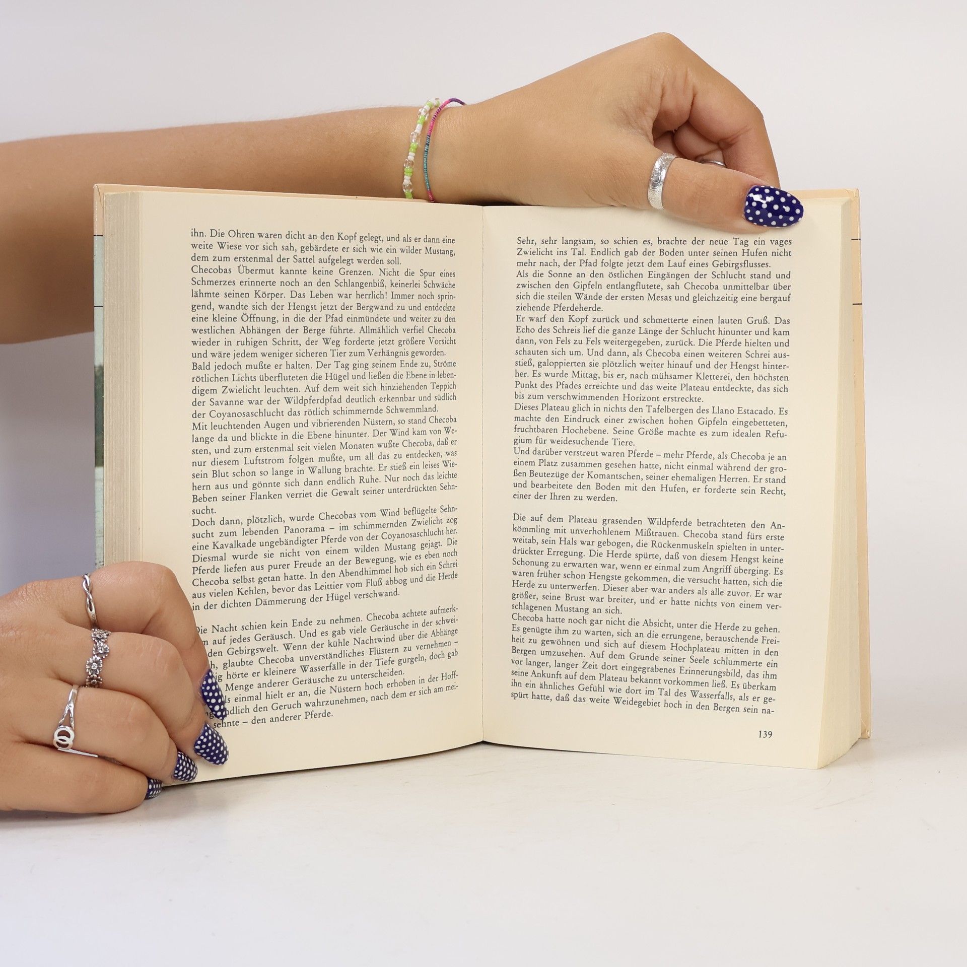 Various authors Neue Pferde-Geschichten