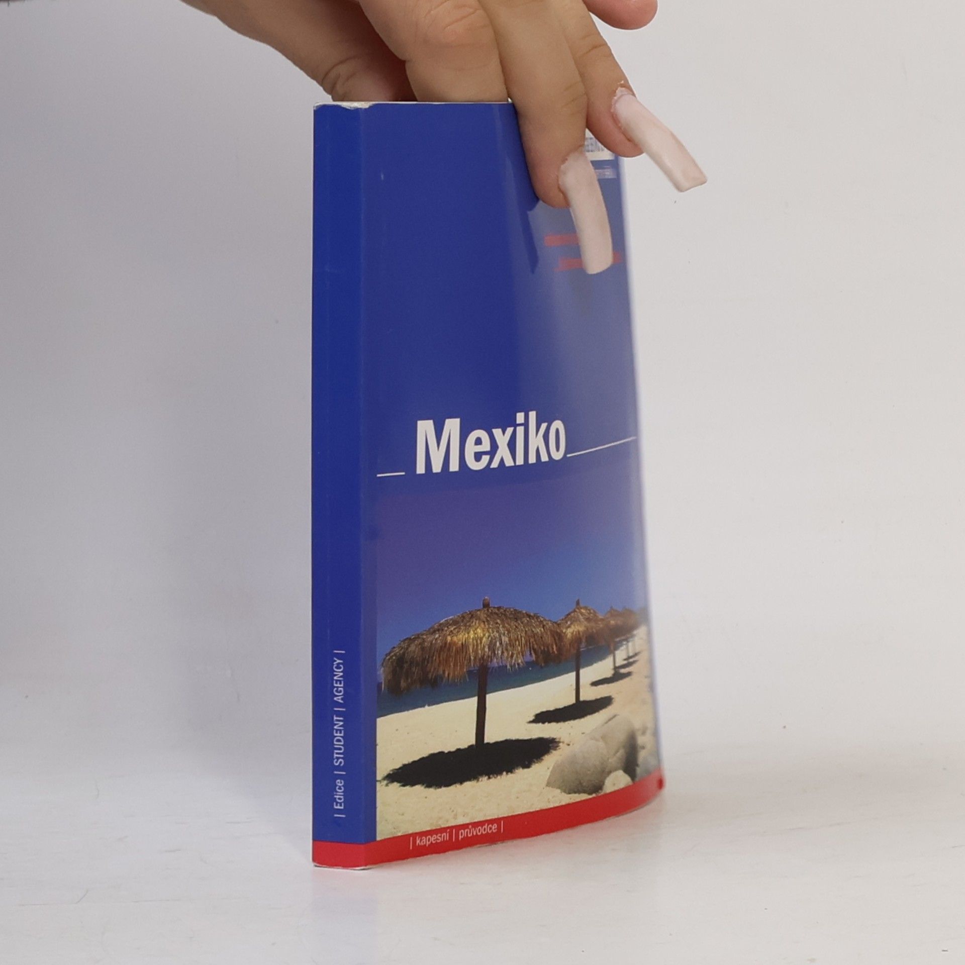 Collectif d'auteurs Mexiko