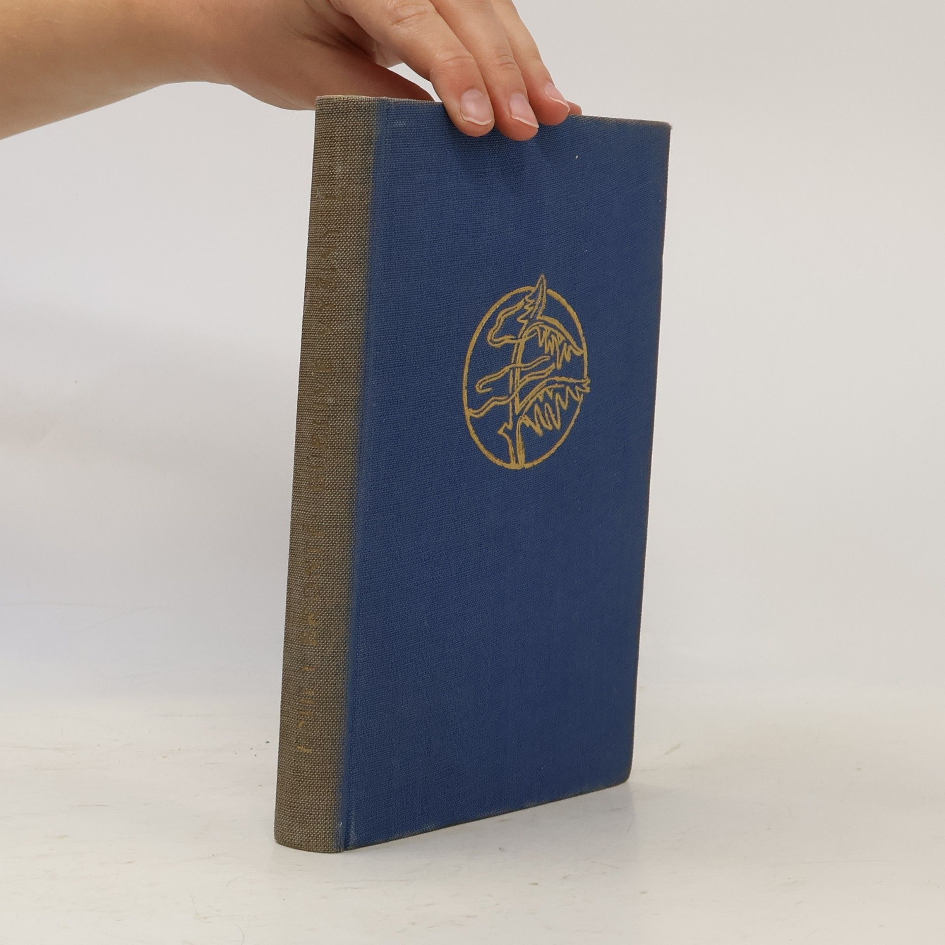 Emily Brontë Búrlivé výšiny