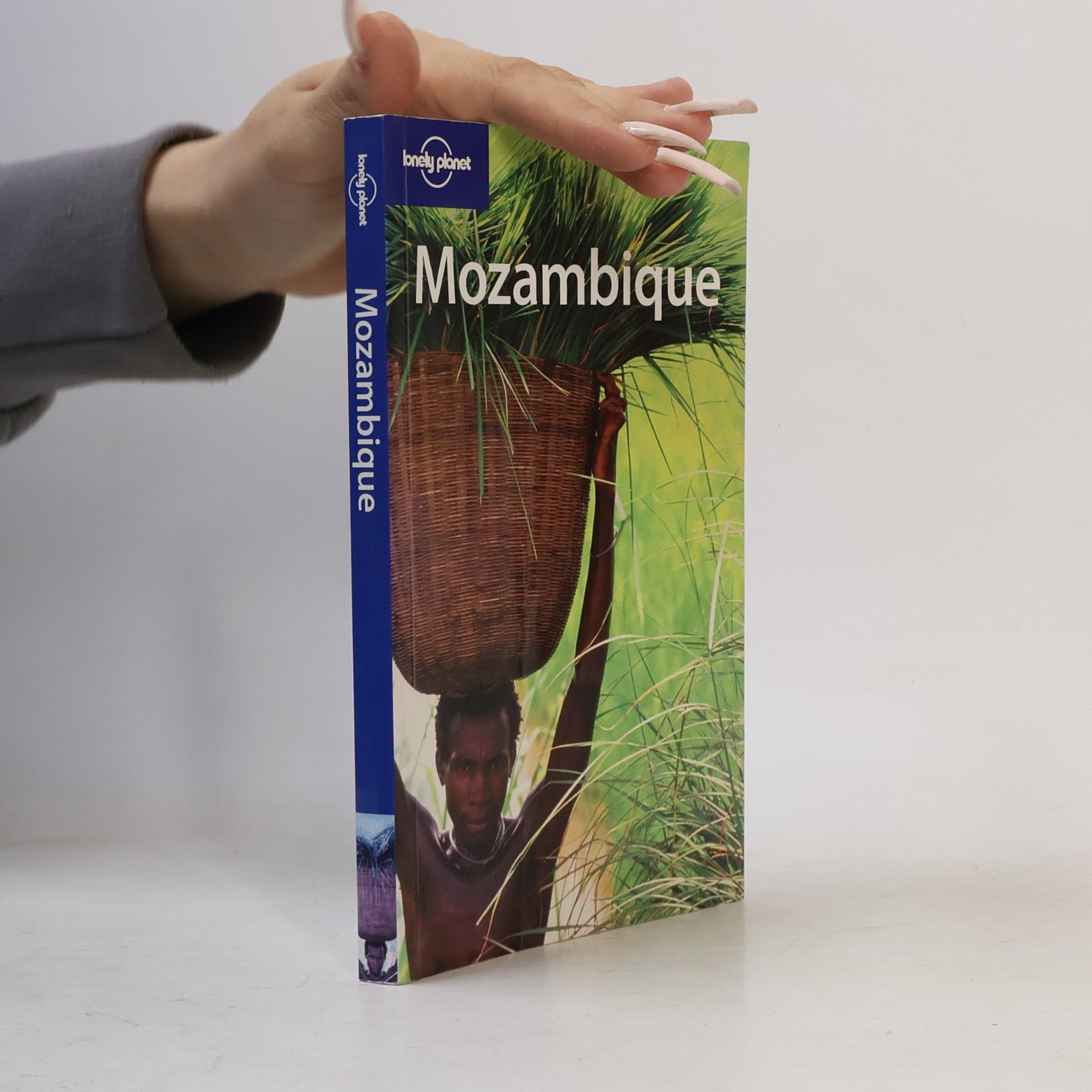 Mary Fitzpatrick Mozambique