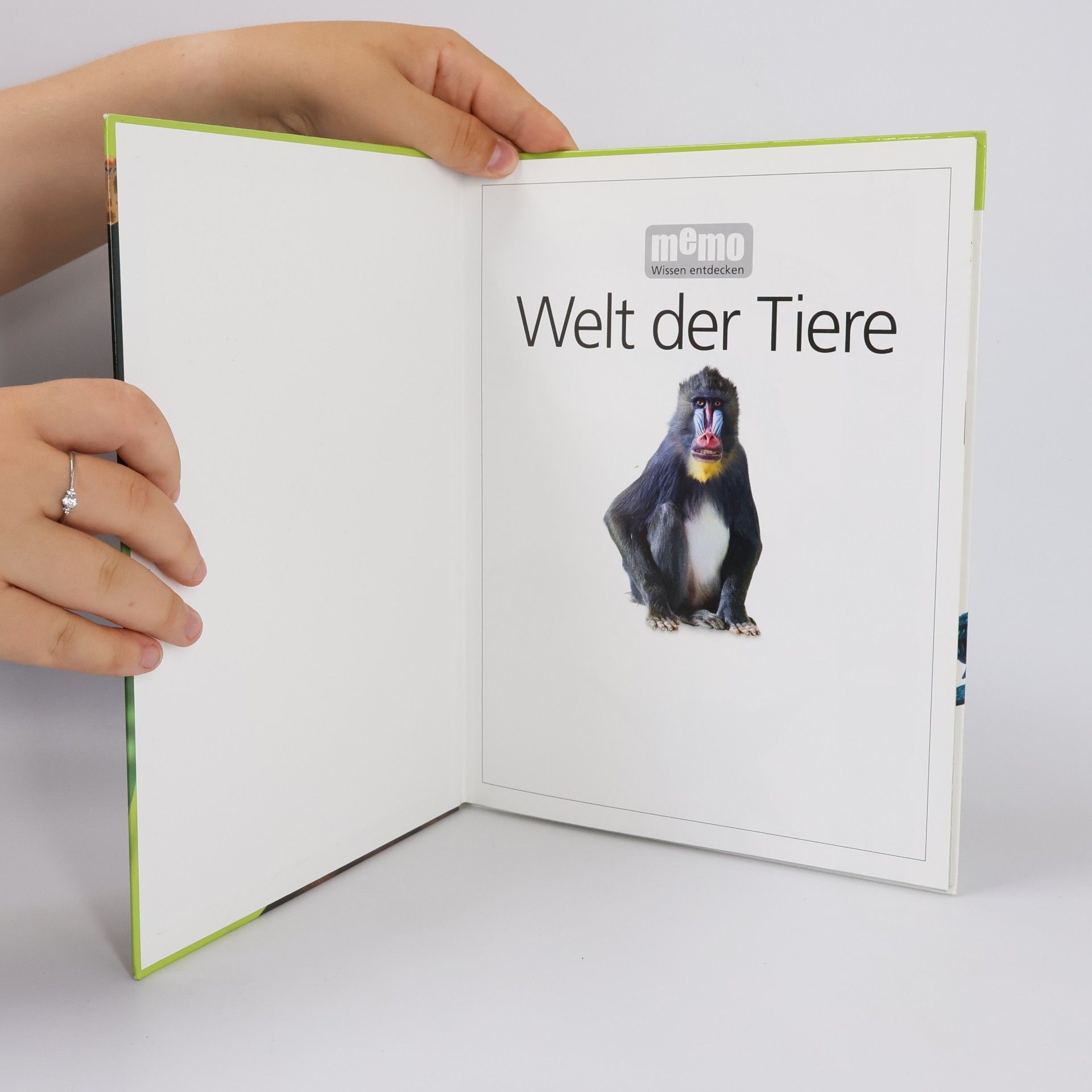 Collectif d'auteurs Welt der Tiere