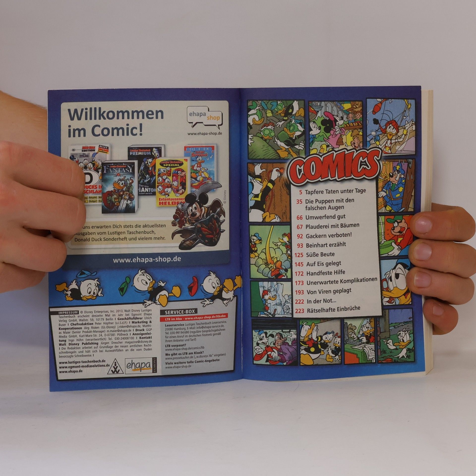 Walt Disney Lustiges Taschenbuch 445. Ein Traum von Ferien
