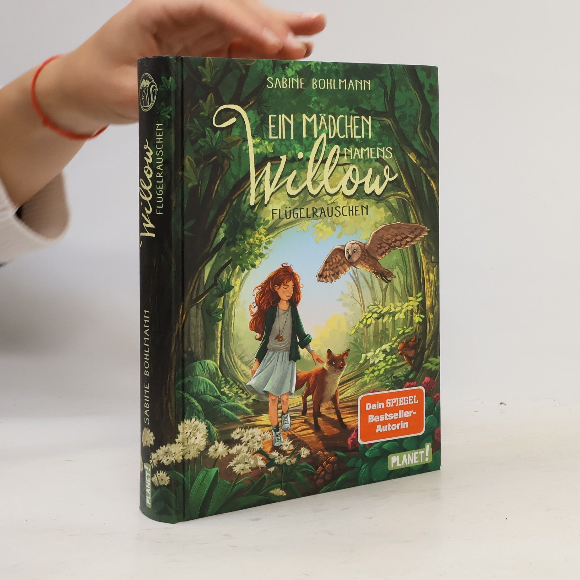 Sabine Bohlmann Ein Mädchen namens Willow - Flügelrauschen