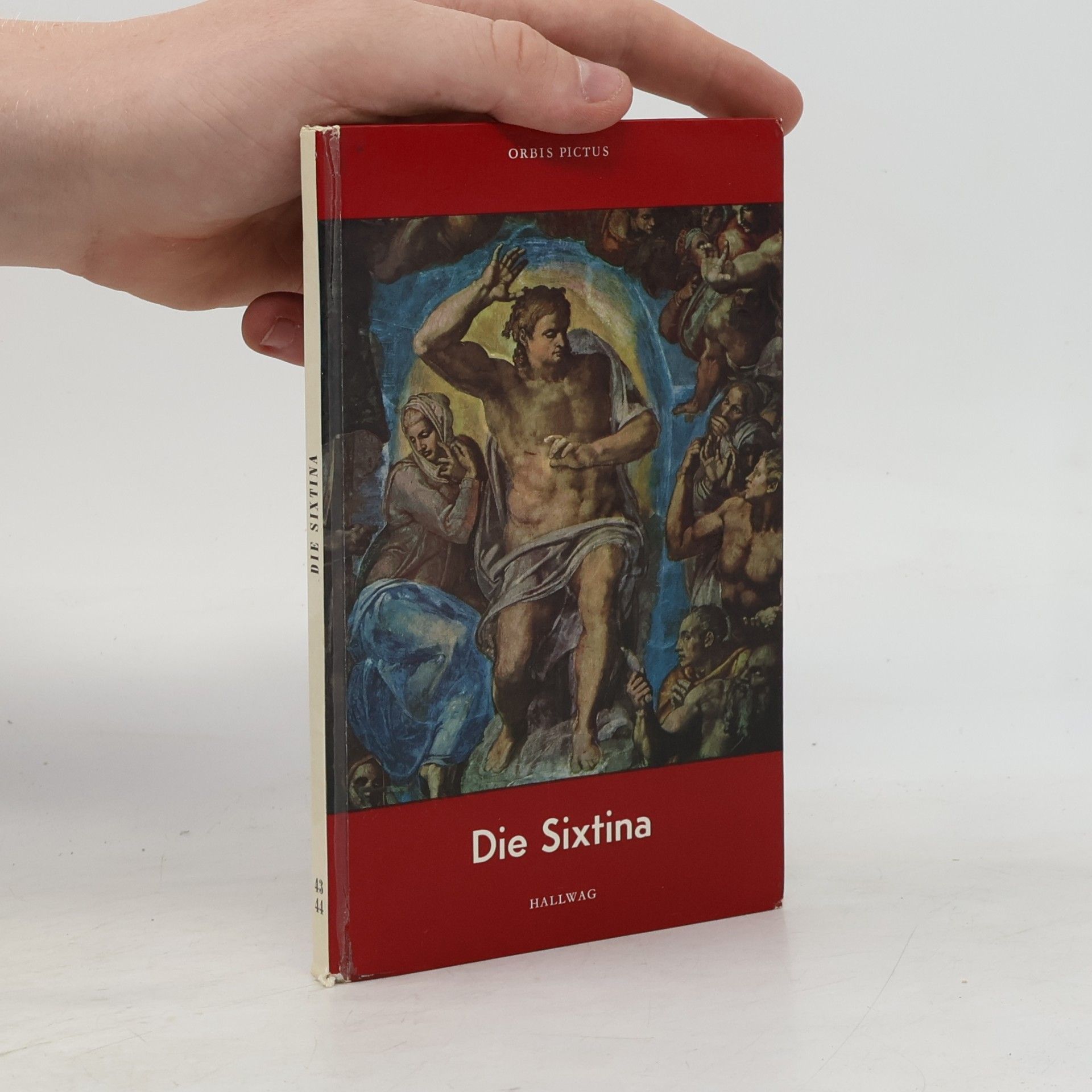 Reinhold Hohl Die Sixtina - Fresken der Sixtinischen Kapelle in Rom