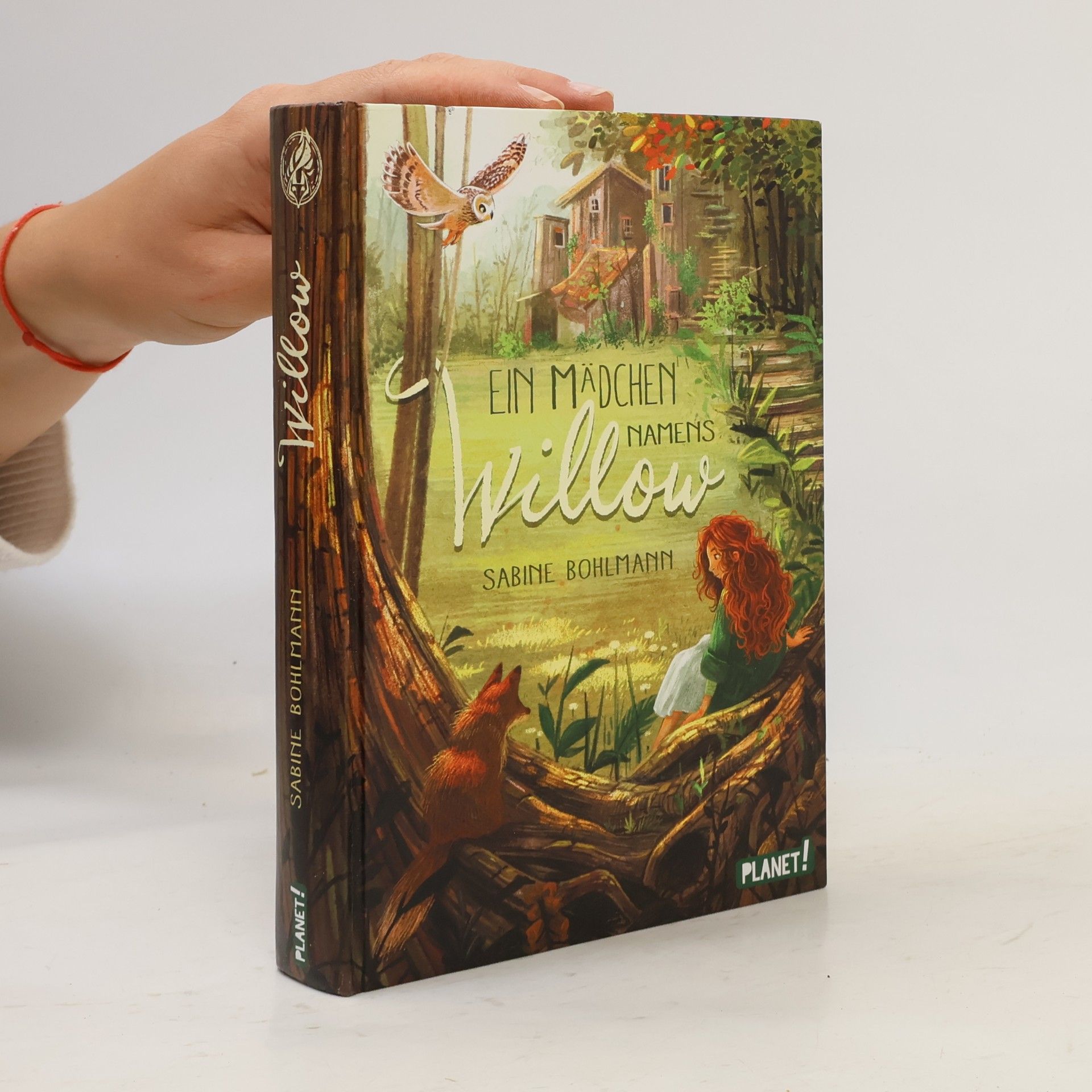 Sabine Bohlmann Ein Mädchen namens Willow