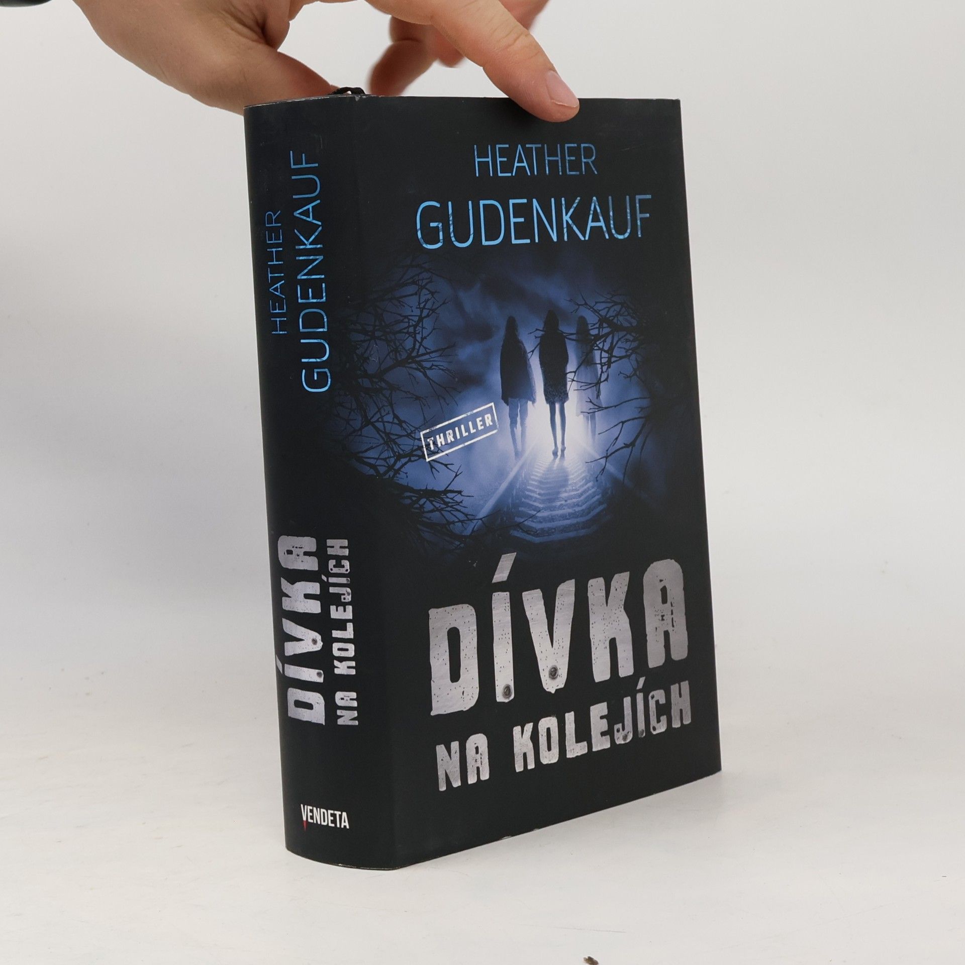 Heather Gudenkauf Dívka na kolejích