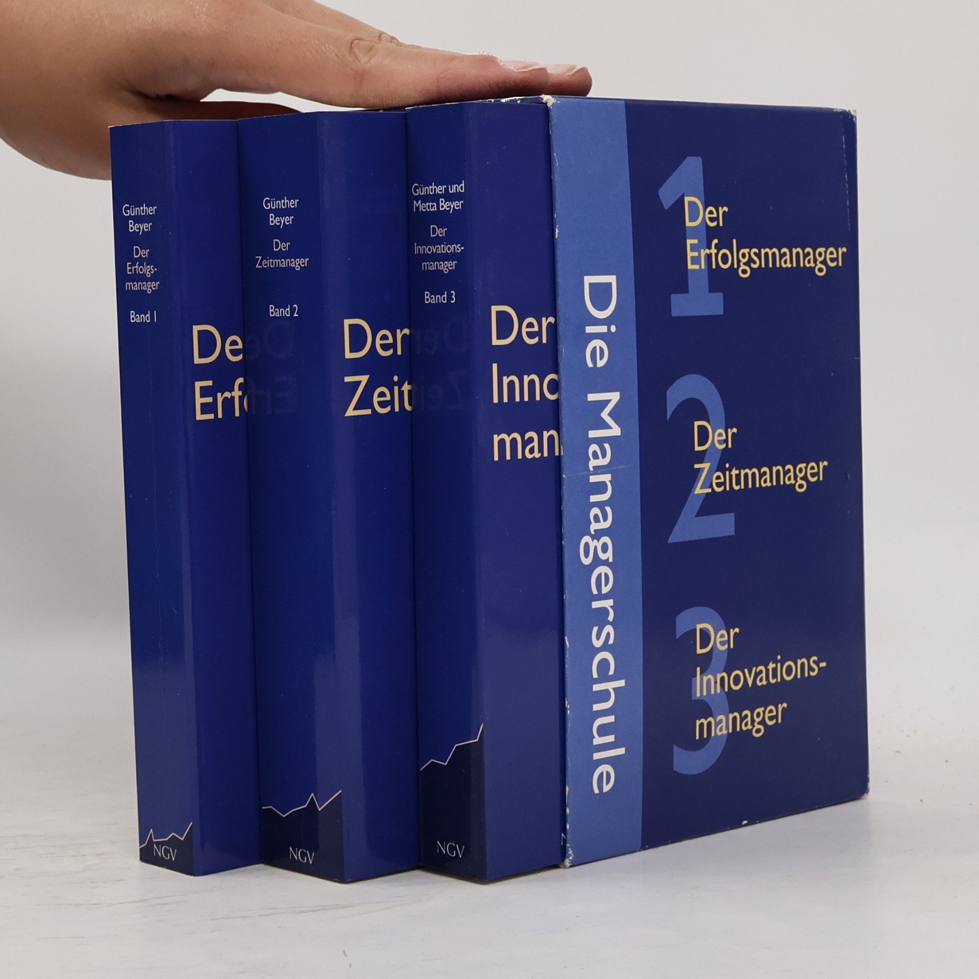 Metta Beyer Die Managerschule