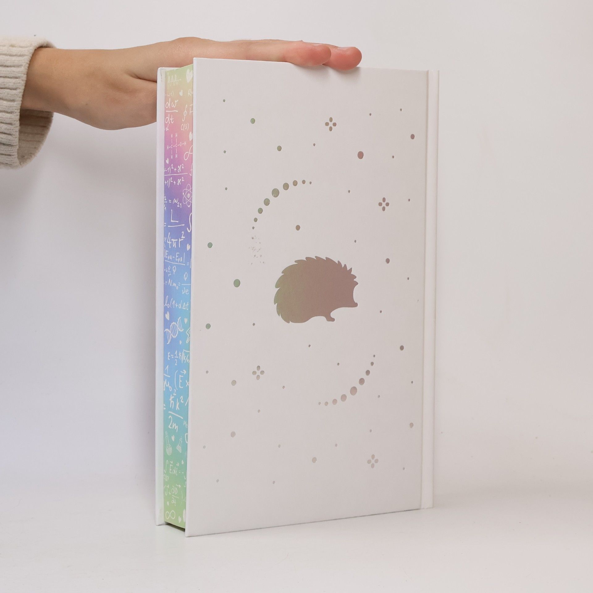 Ali Hazelwood Love Theoretically