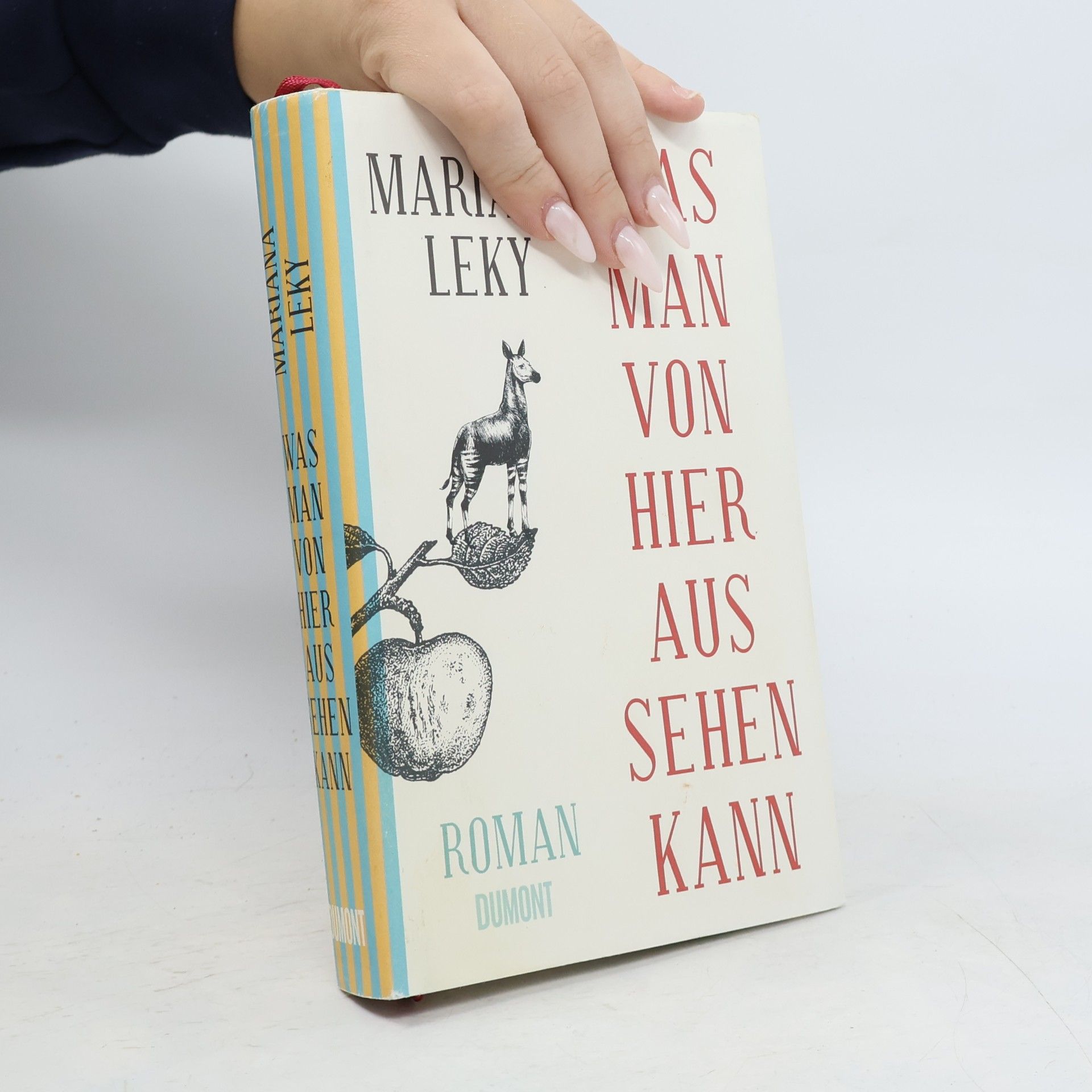 Mariana Leky Was man von hier aus sehen kann