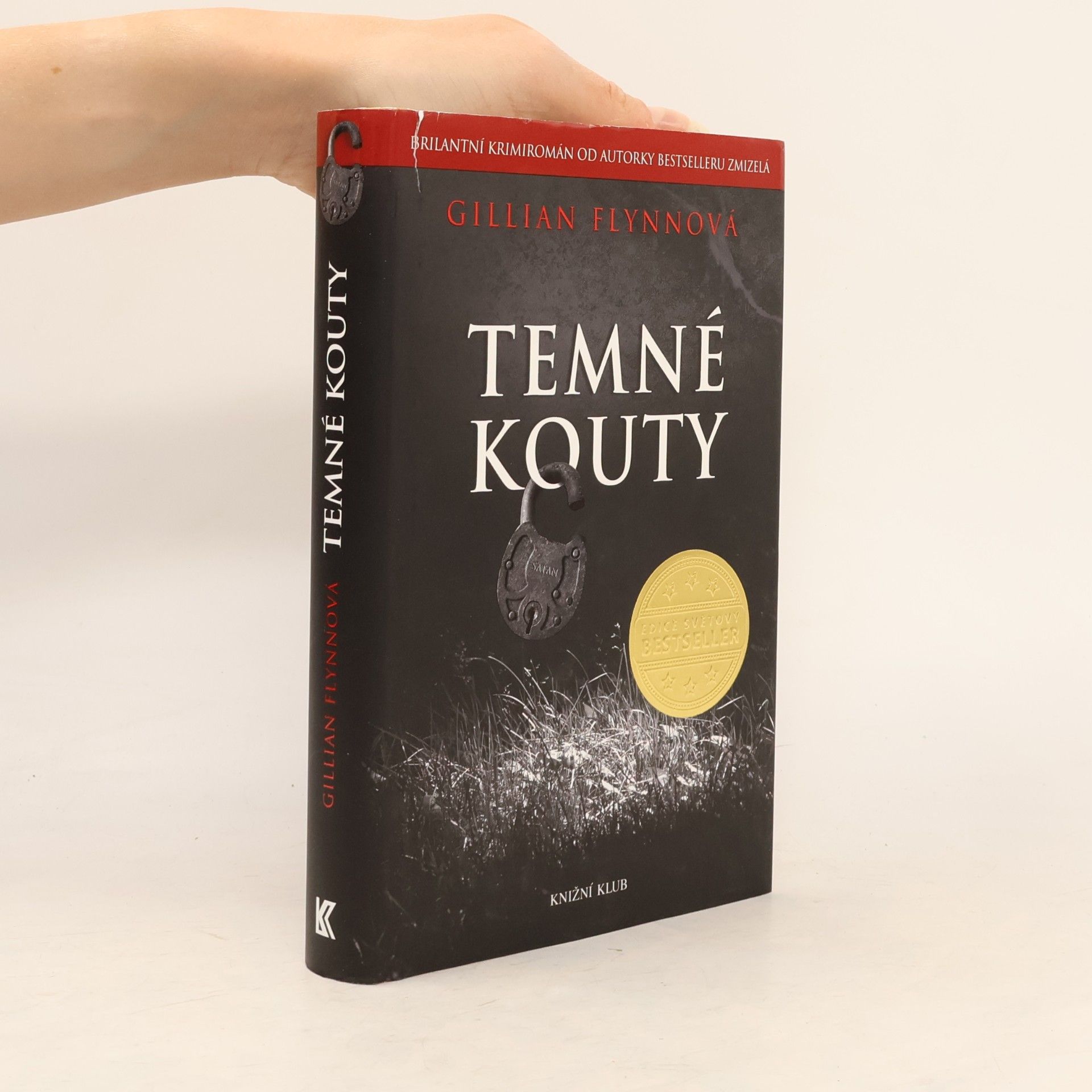 Gillian Flynn Temné kouty