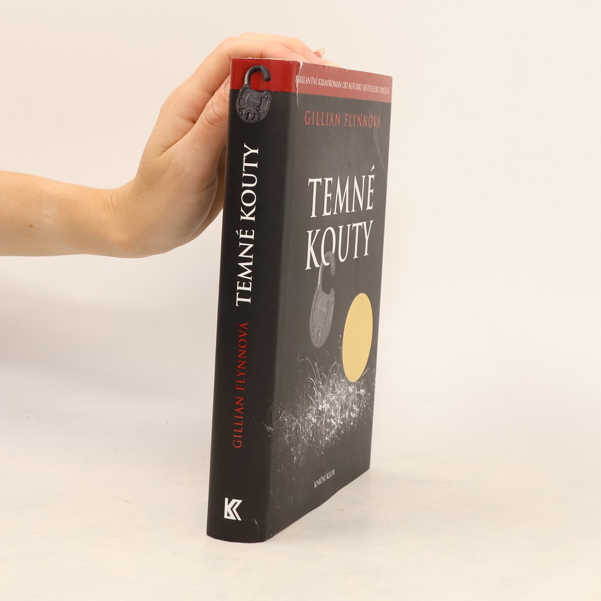 Gillian Flynn Temné kouty