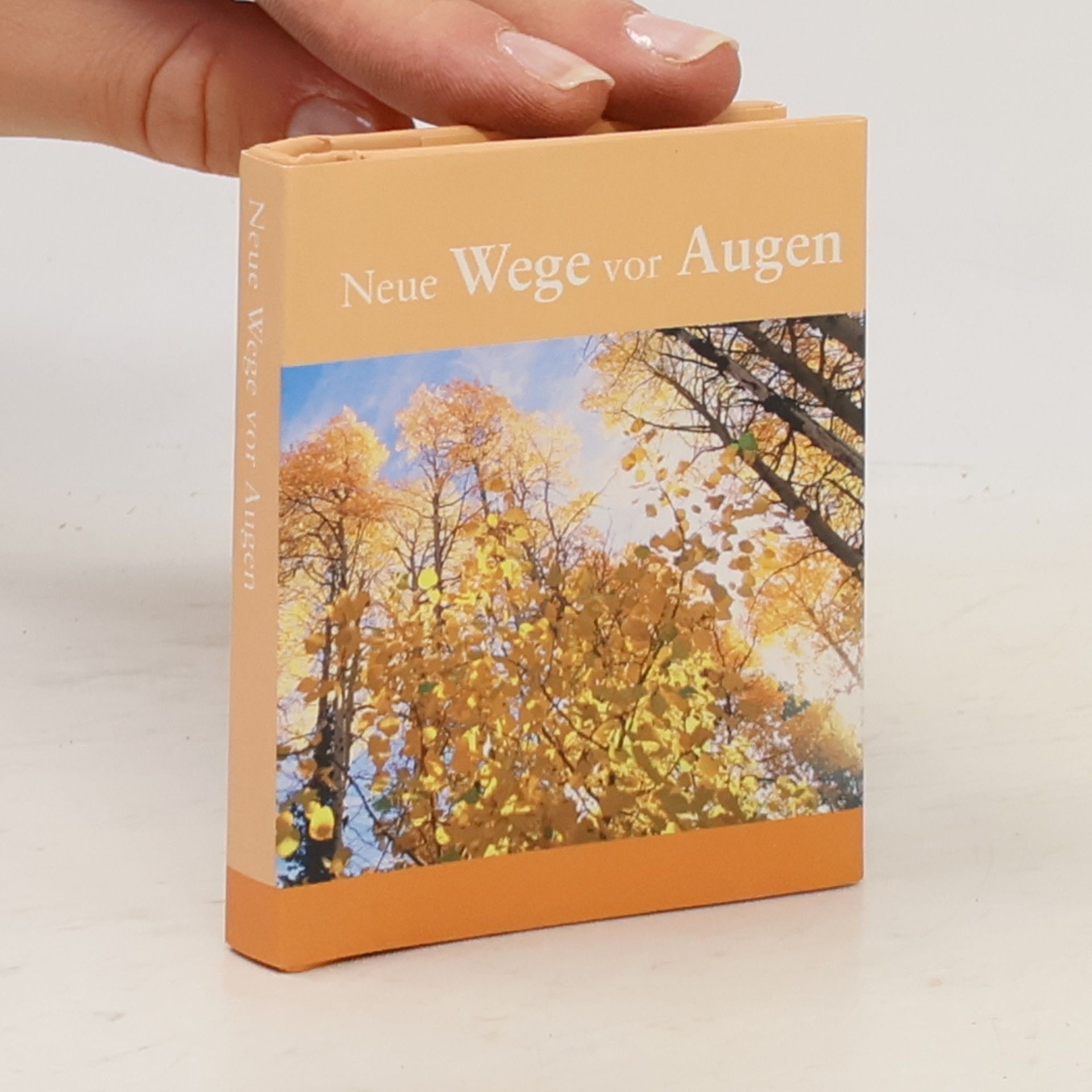 kolektiv Neu Wege vor Augen