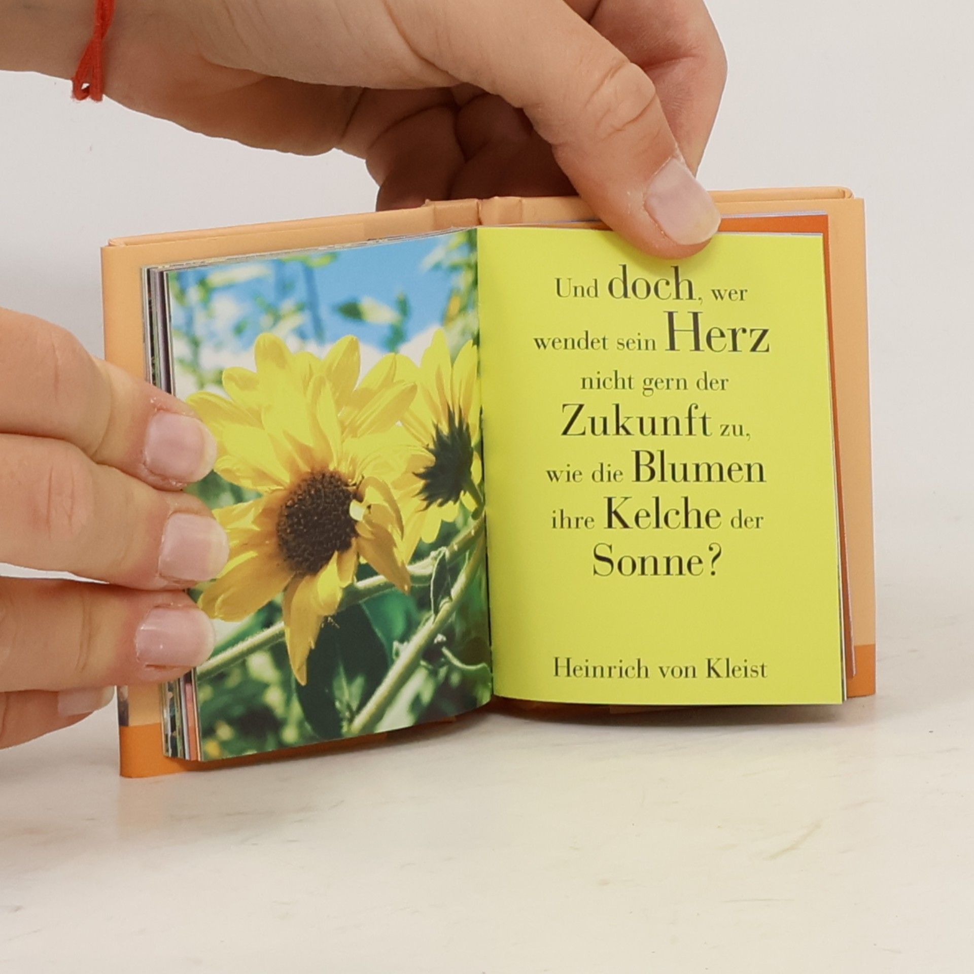 kolektiv Neu Wege vor Augen