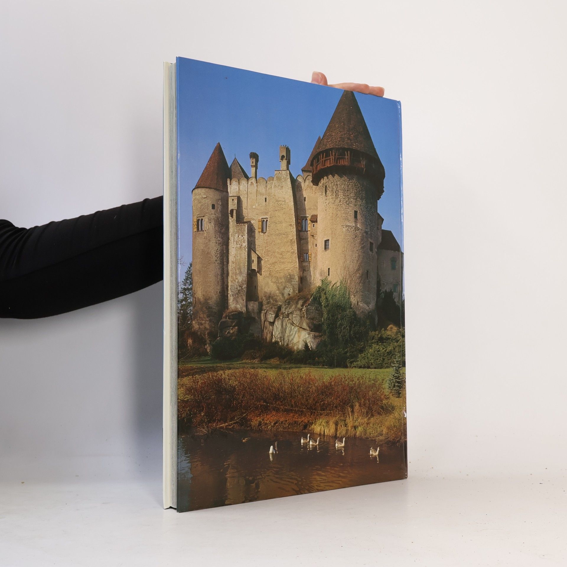 Hans Max Aufseß Burgen