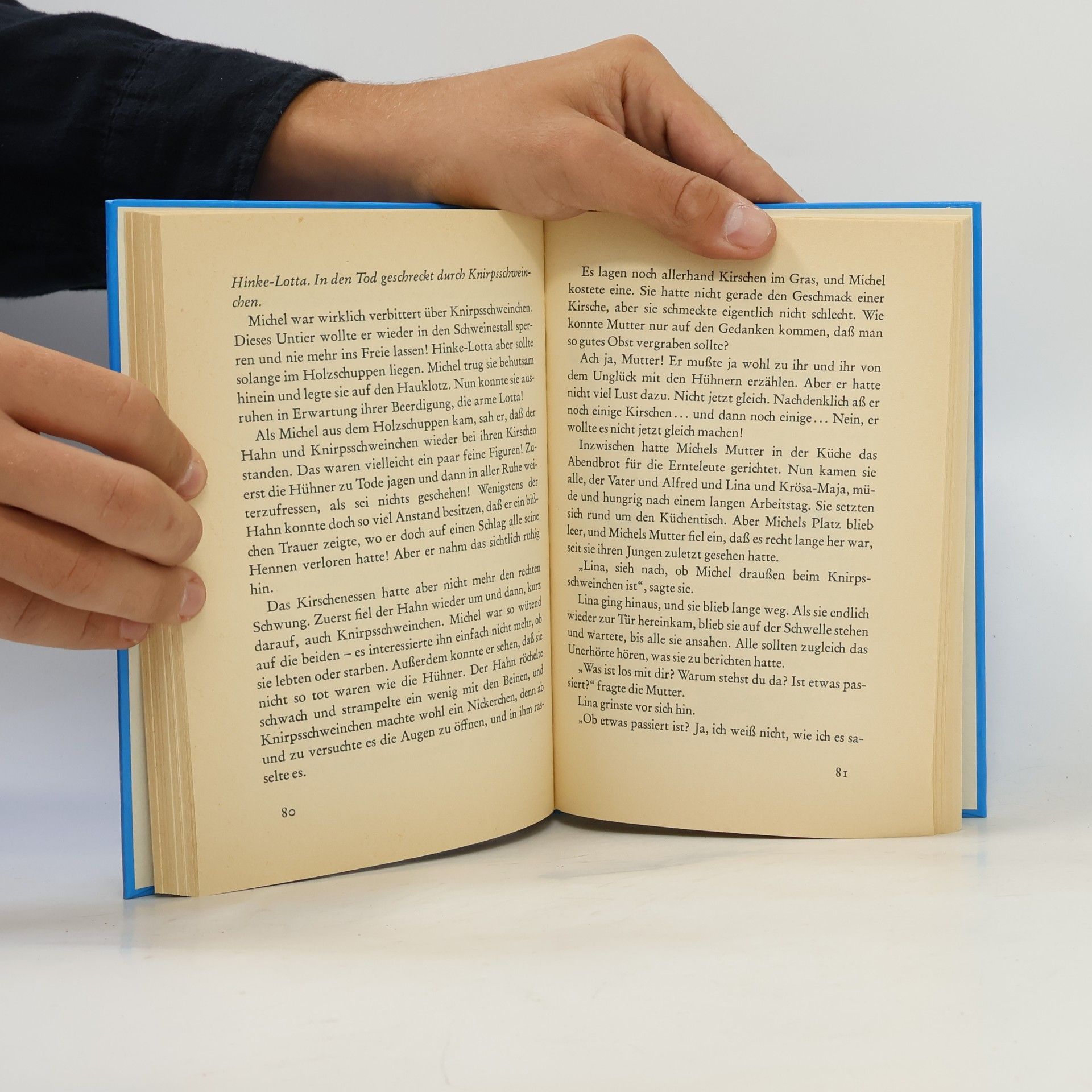 Astrid Lindgren Michel bringt die Welt in Ordnung