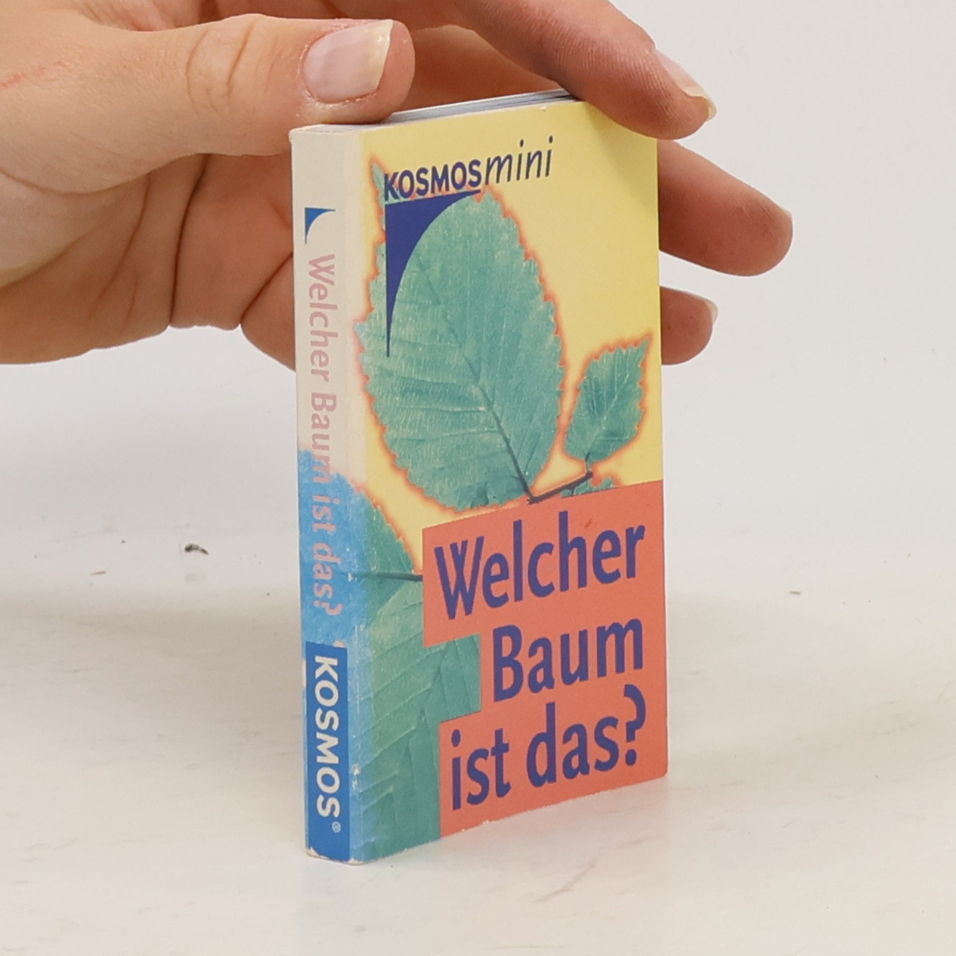 Welcher Baum ist das?