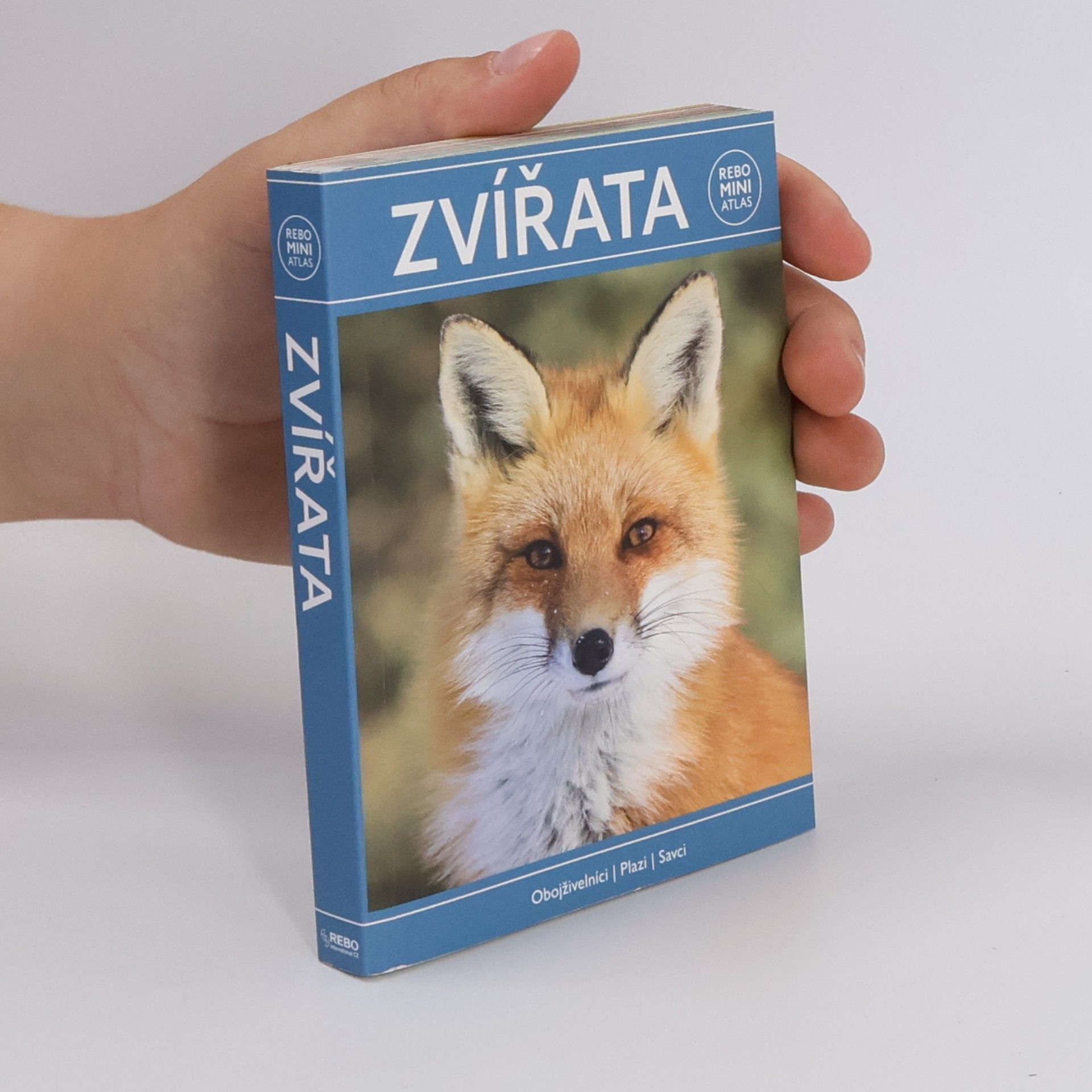 Zvířata