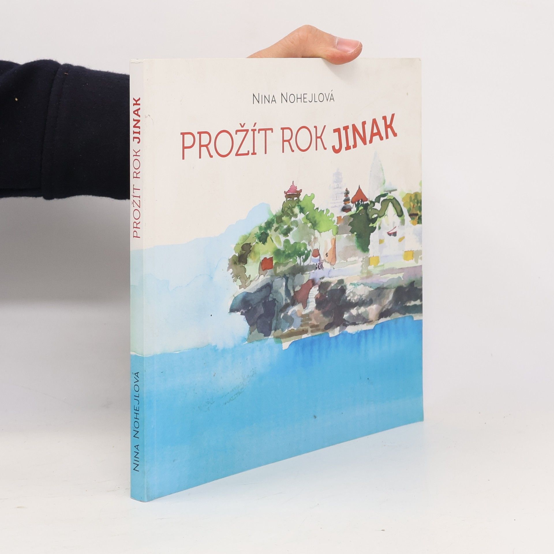 Nina Nohejlová Prožít rok jinak