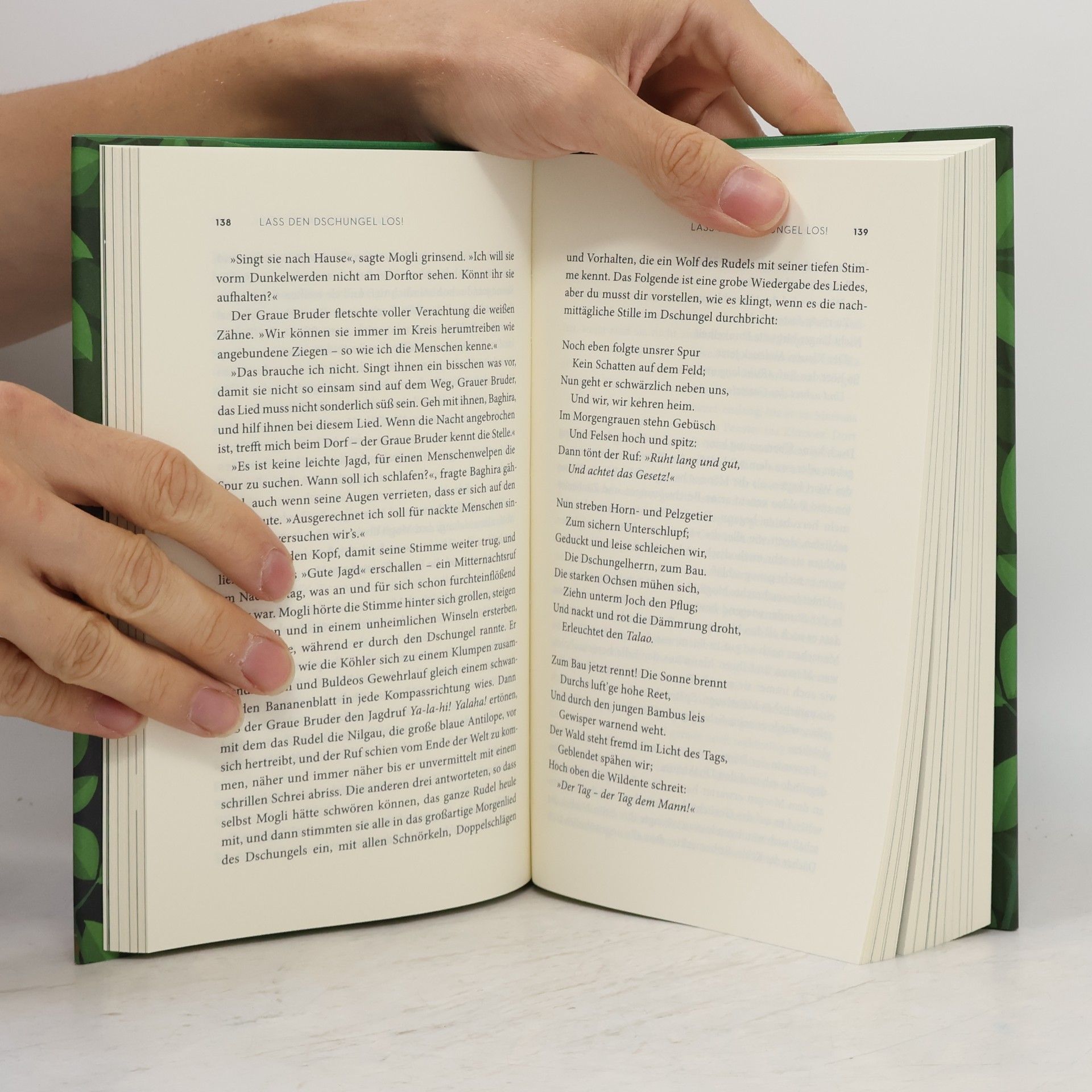 Rudyard Kipling Das Dschungelbuch 1 & 2